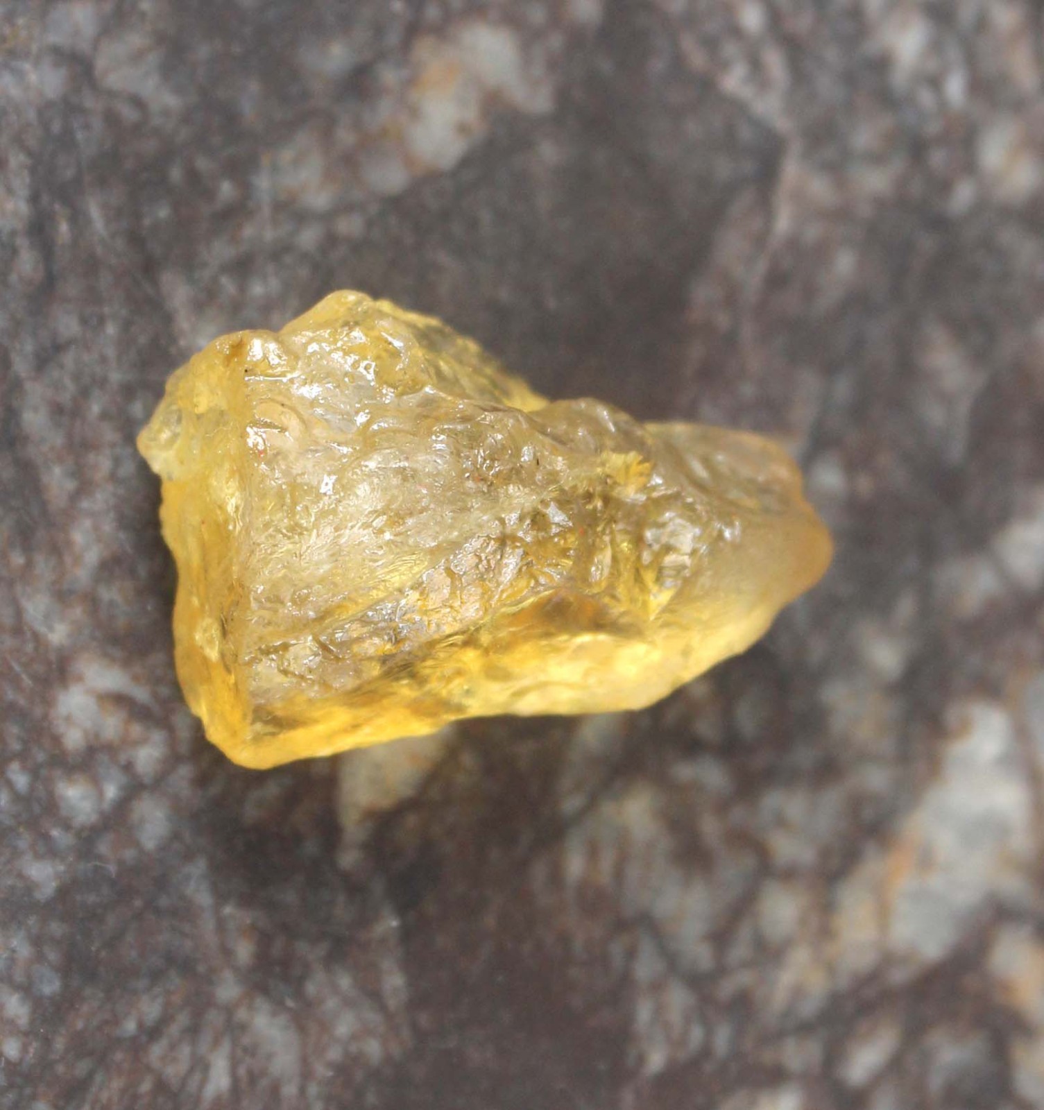 Natural 26.75 Ct Yellow Grossular Garnet Gemstone Rough Certified T37066