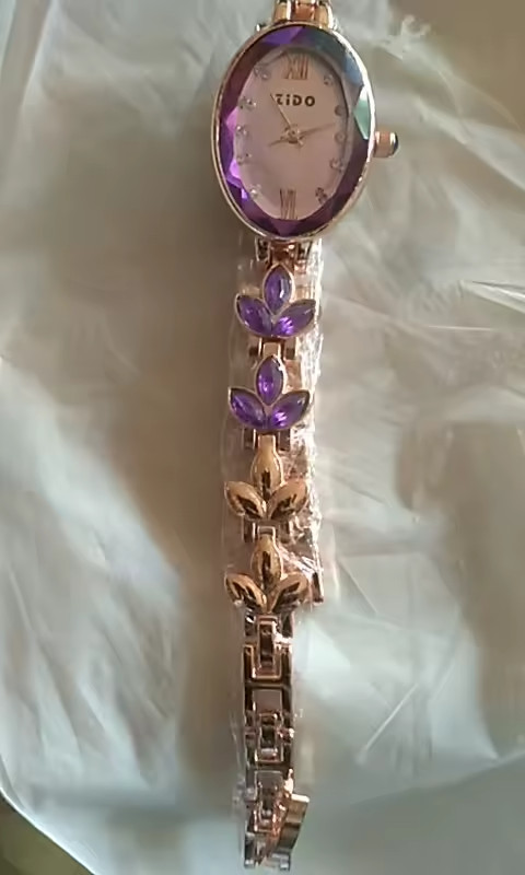 Women’s Watches Light Luxury Diamond Inlaid Female Watch Waterproof Oval Ladies