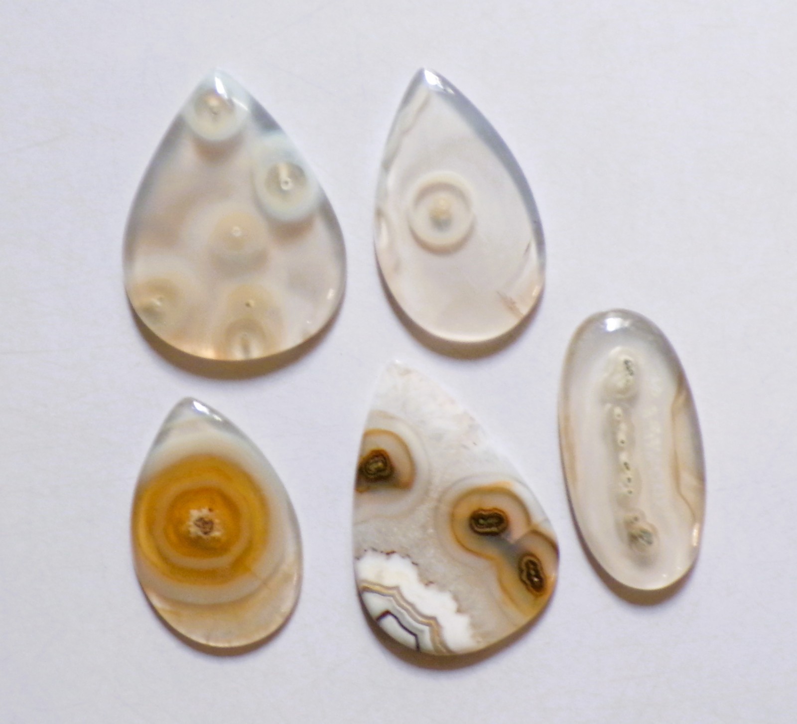 143.00 Cts Natural Orbicular Agate 05 Pcs Lot Loose Cabochon Gemstone 06
