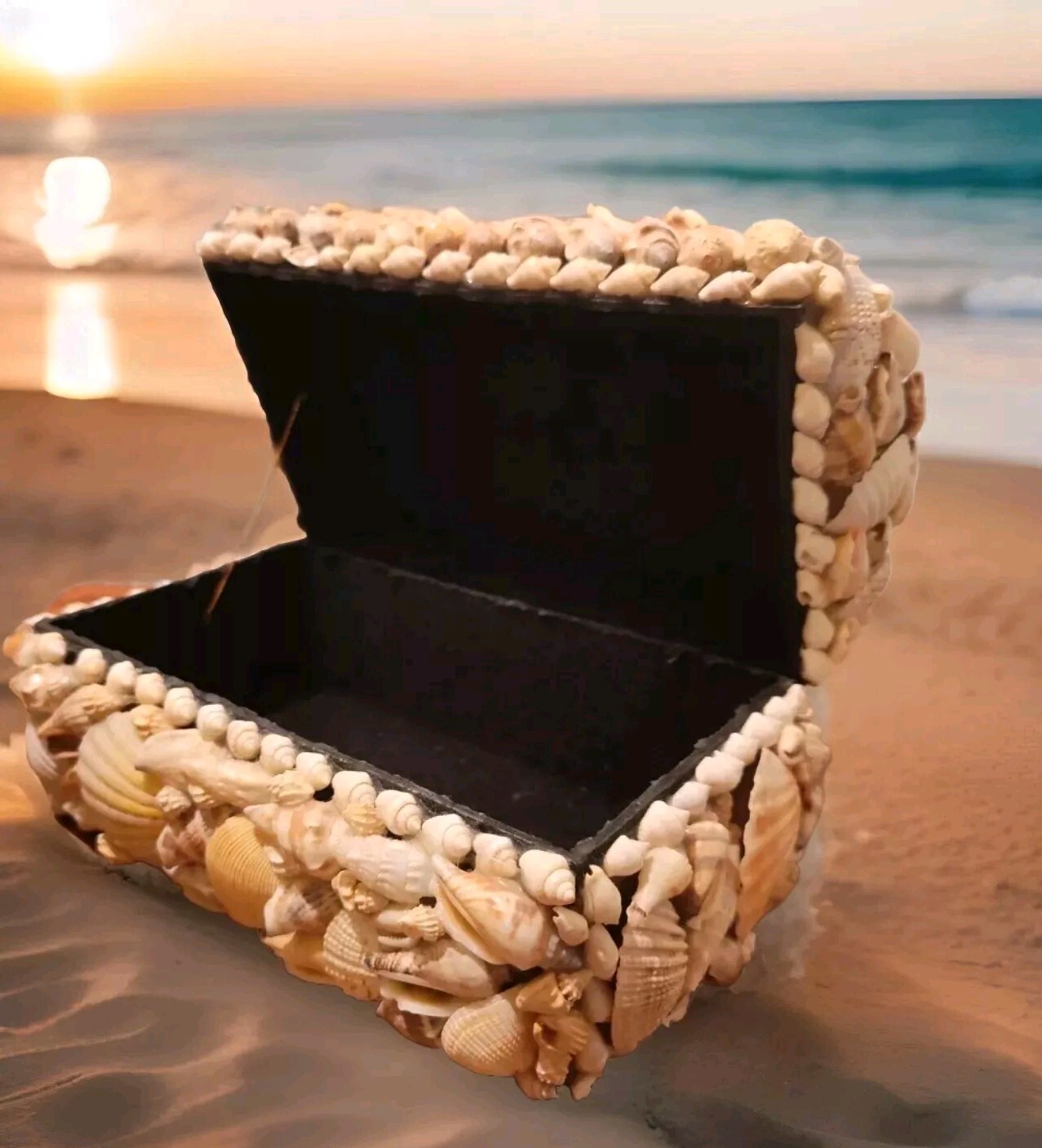 Seashell 7″L X 4″ W X 4″H Rectangle Jewelry Trinket Treasure W/ Dome Lid