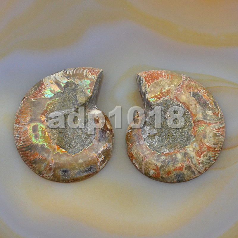 Natural Pair Slice Iridescent Ammonite Fossil Split Polished Madagascar Nopunch
