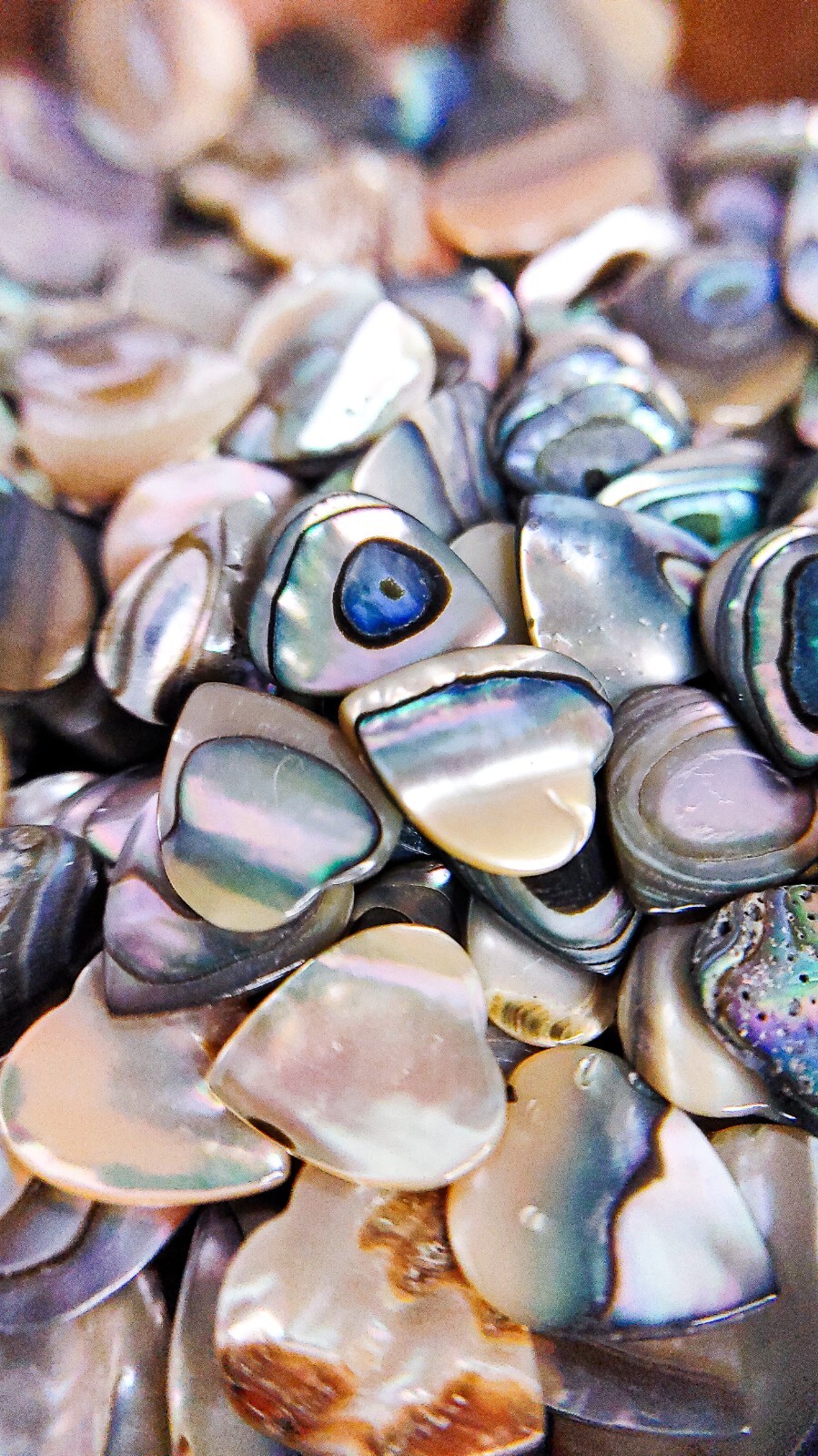 18 Abalone Cabochon HEART Shells (10×9 mm) Seashell Iridescent Paua Gemstone