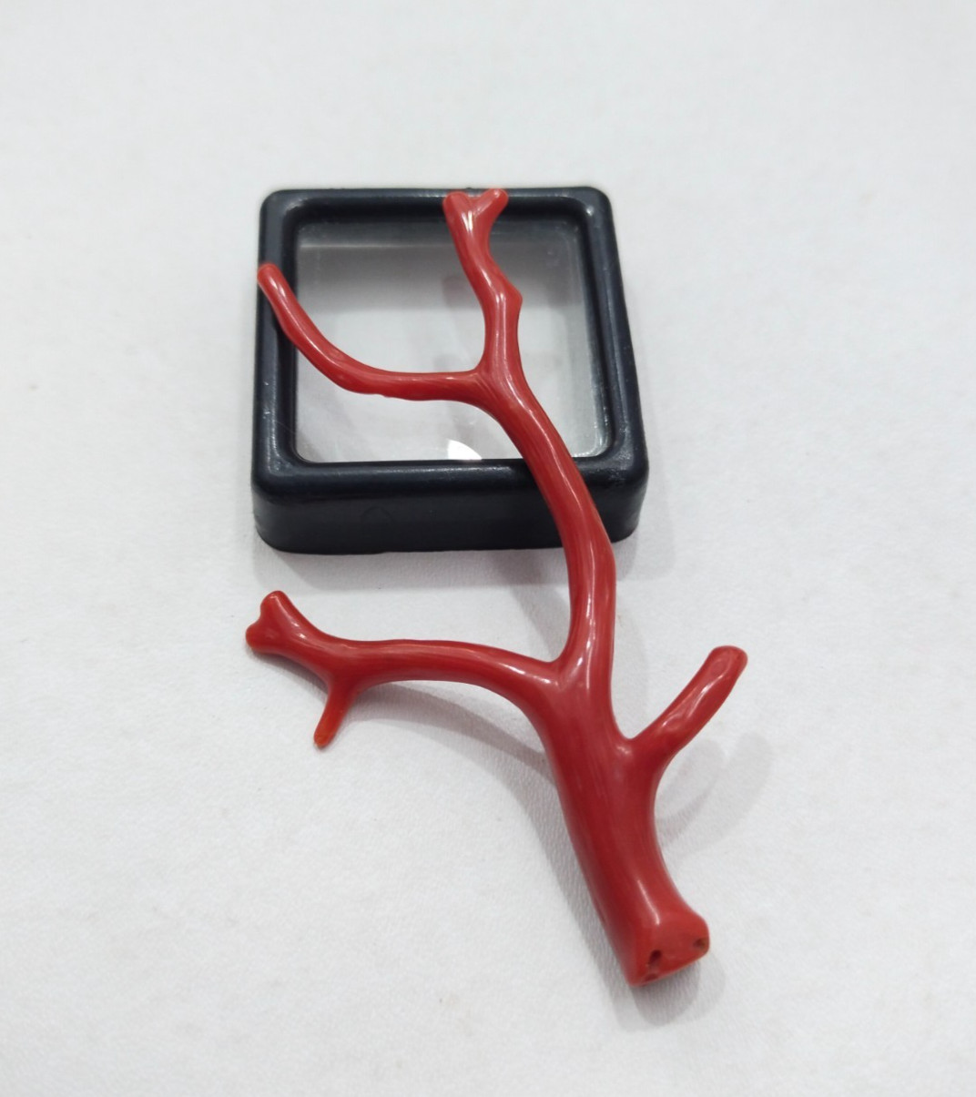 Genuine Undyed Red Coral Branch, Polished Italian Mediterranean Sea Red Gemstone