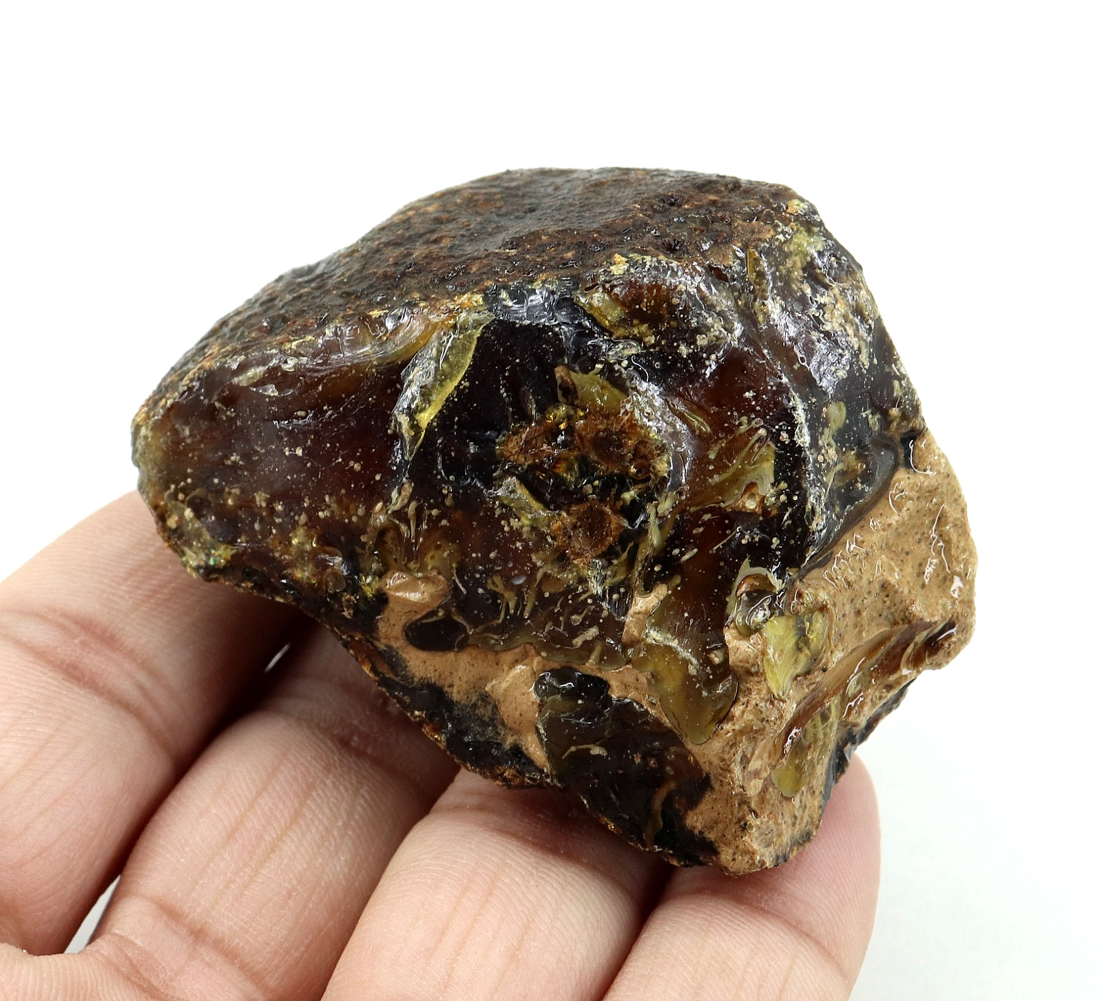 Natural Honey Baltic Amber Untreated Specimen Certified Rough Gemstone 233 Ct.