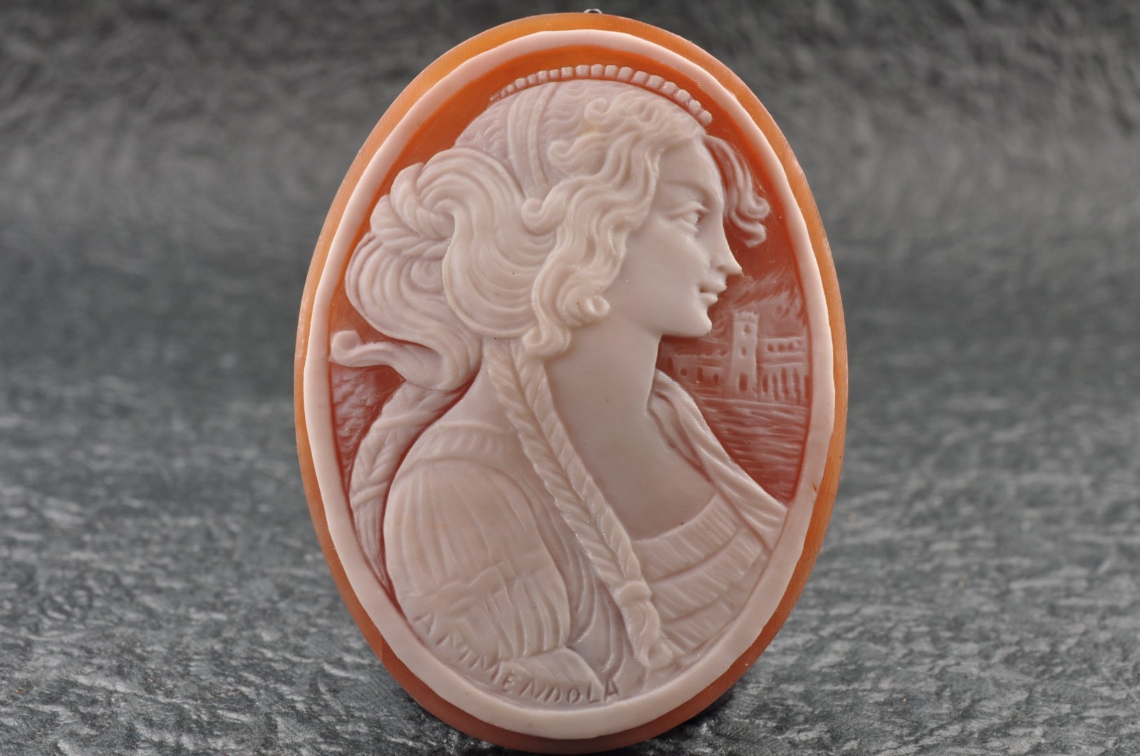 6 items , vintage shell cameo White and brown color (Total 325.5ct) with case.