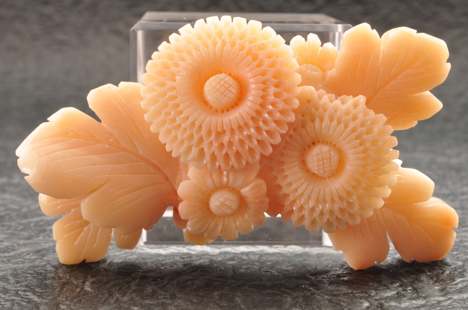 Vintage angel skin coral OBIDOME, “chrysanthemum” Certificate, (69mm 266.0ct).