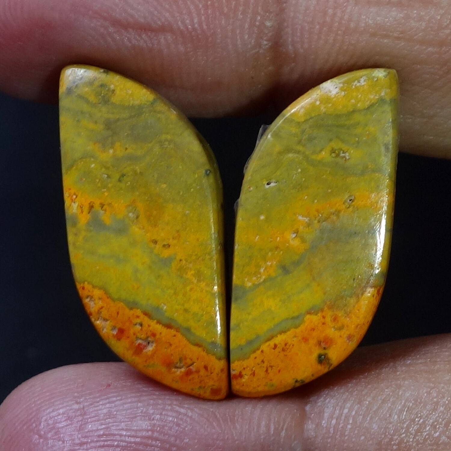24.90CT Untreated Bumble Bee Jasper Pair Cabochon 11X23mm Fancy Earring Gemstone