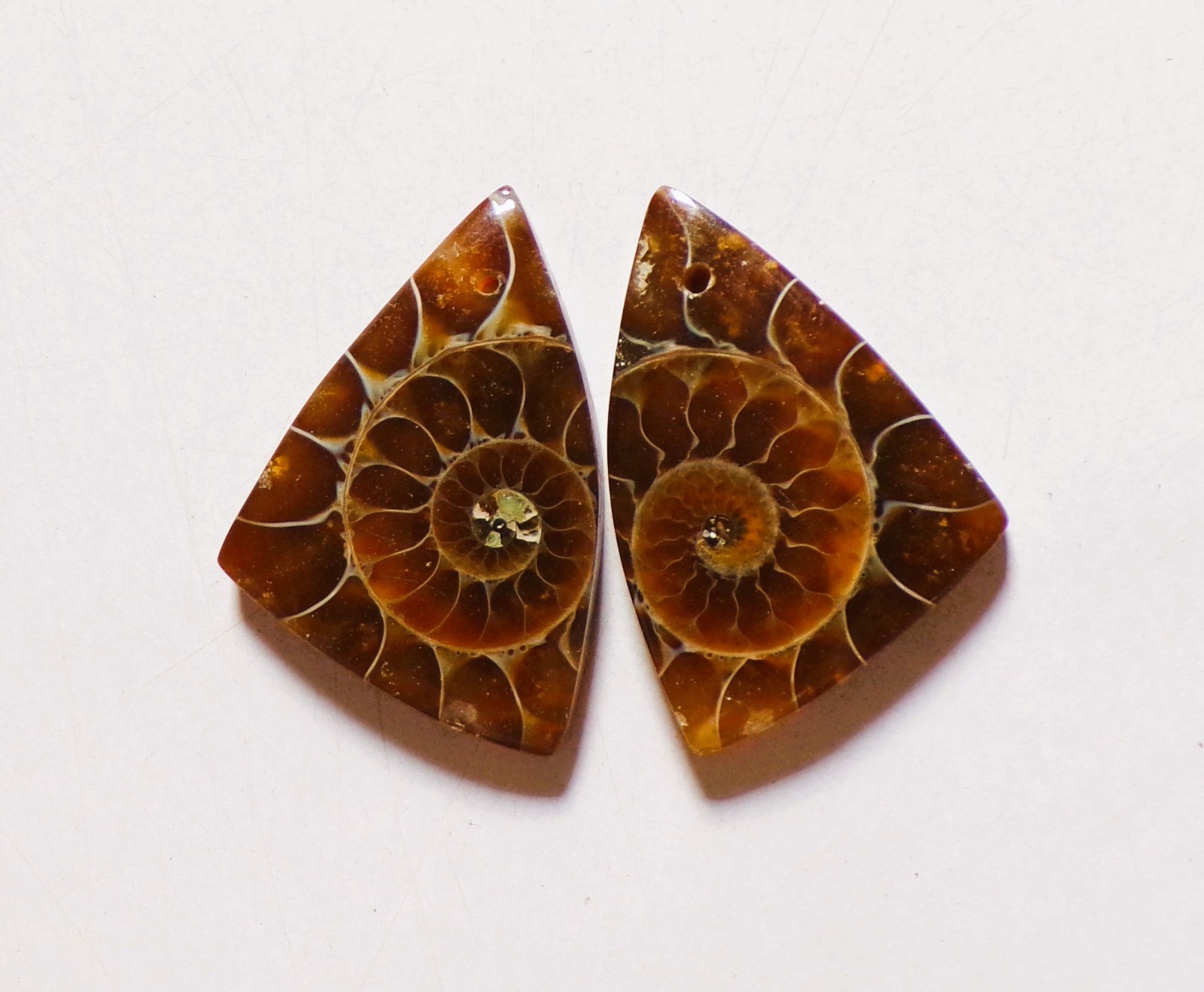 50.00 Cts Natural Ammonite Drilled Cabochon Match Pair Gemstone 32X21MM 191
