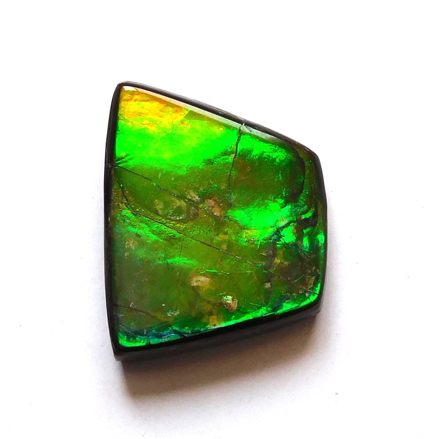 11.70 Ct Natural Canadian Ammolite Cabochon Loose Gemstone 18.8X14.9X4.3MM LF51