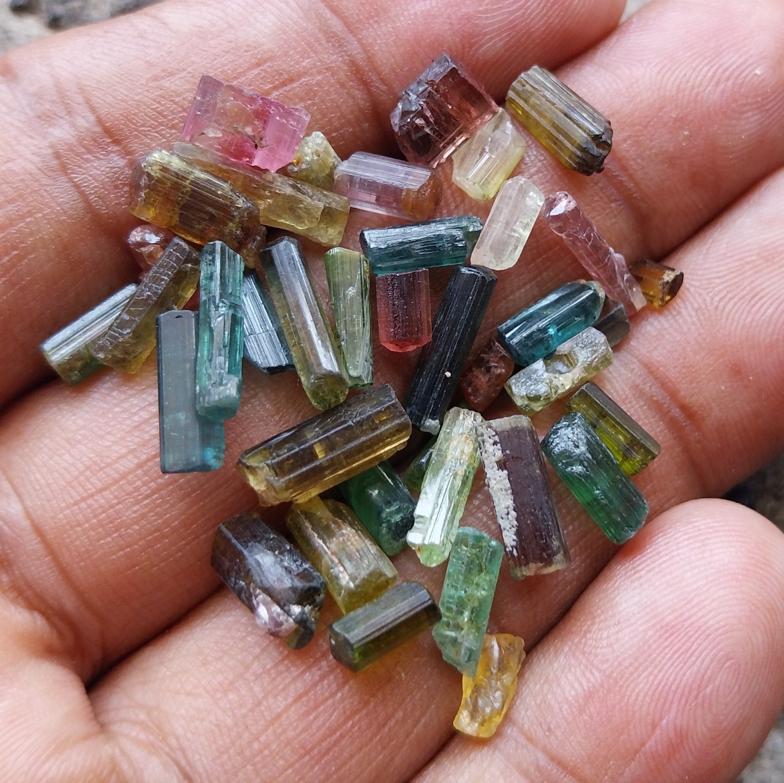 40 Carat 4 to 13 MM Natural Multi Color Tourmaline Rough Pencil 39 Piece Lot