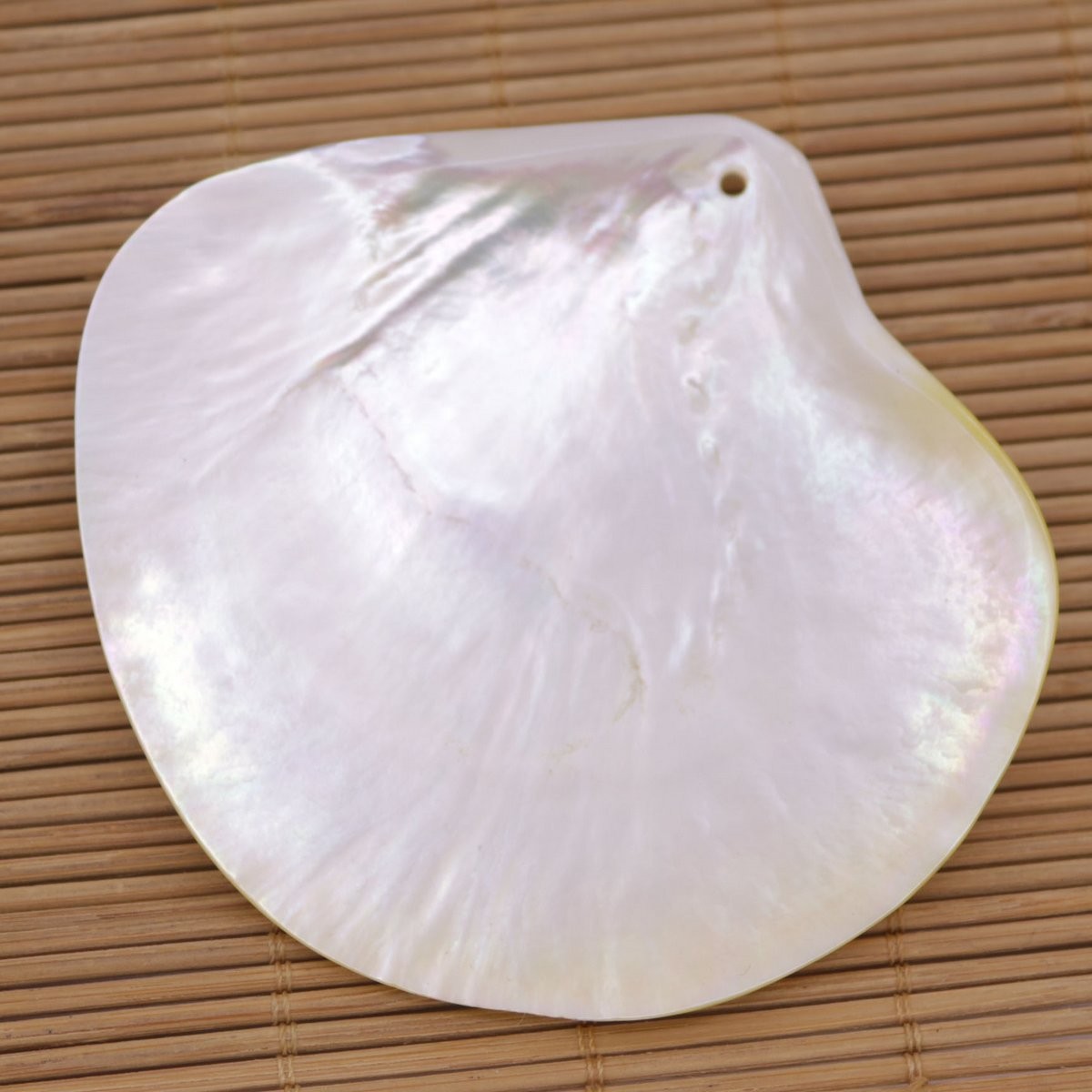 80mm-85mm Natuarl Golden Lip Shell Mother of Pearl Top Hole Charms Pendants