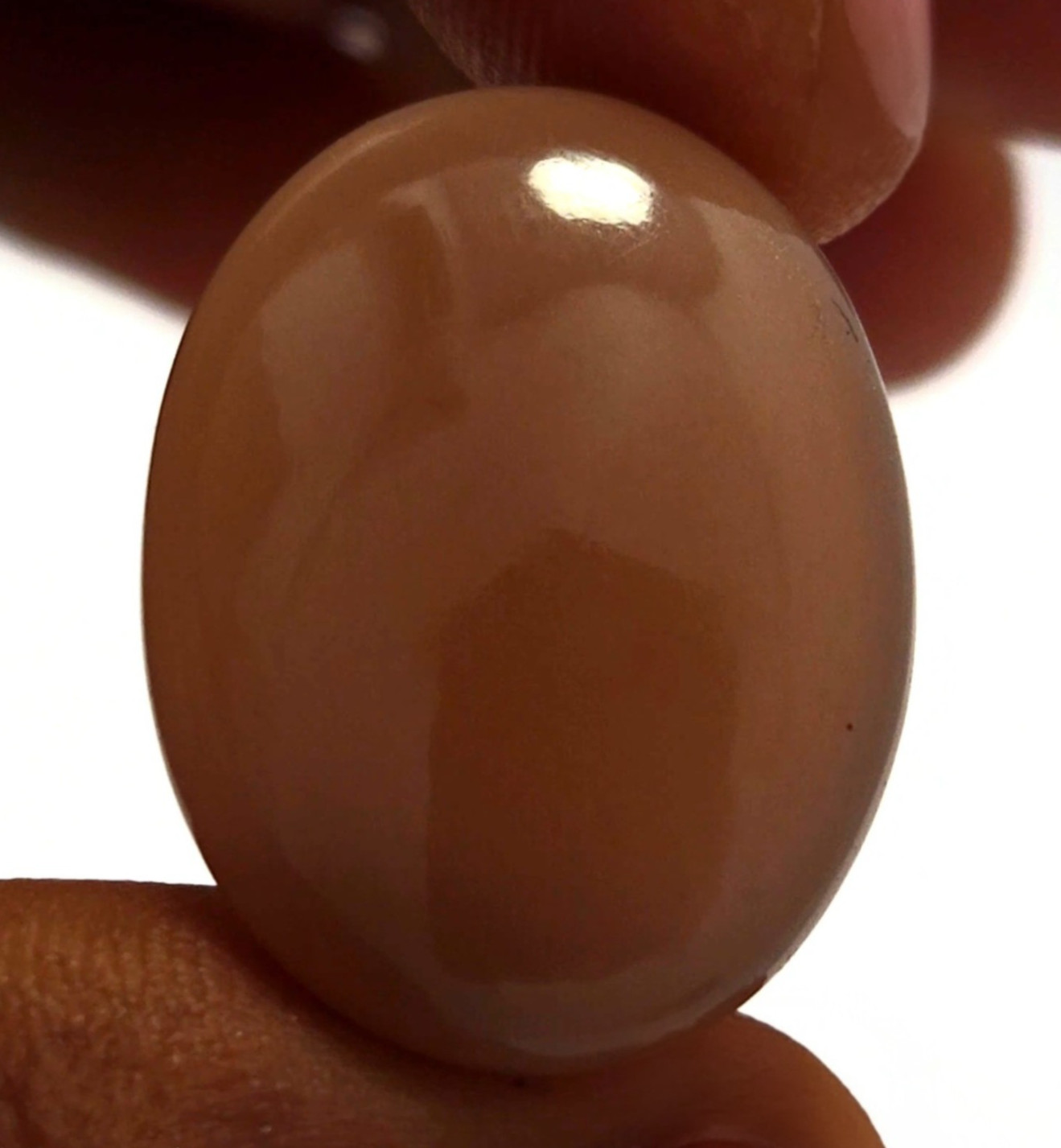 Natural Moonstone cabochon 22.00 ct Brown oval untreated loose gemstone
