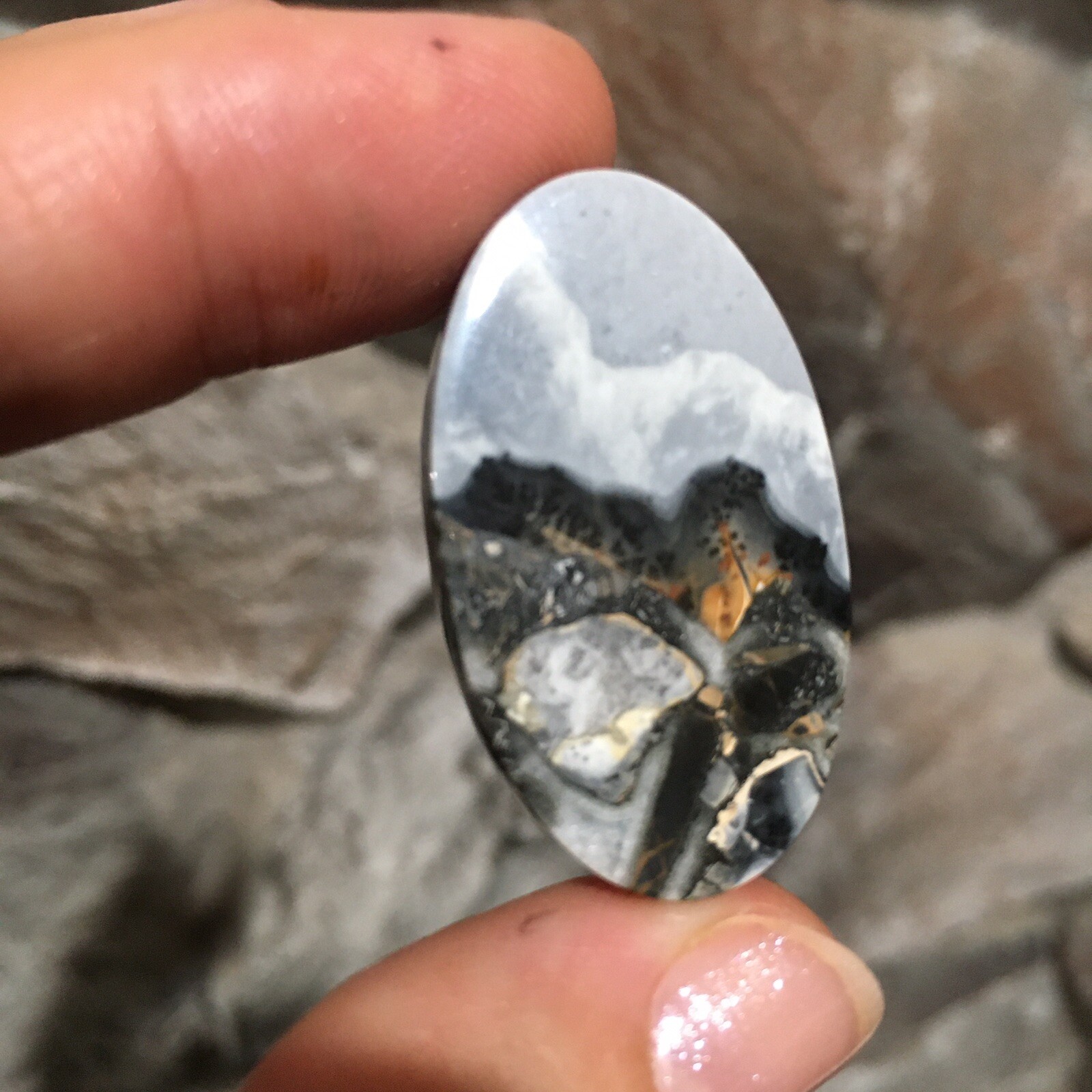 35.7×20.6×4.8mm Fine Maligano Jasper Oval Cabochon Collectors Picture Stone