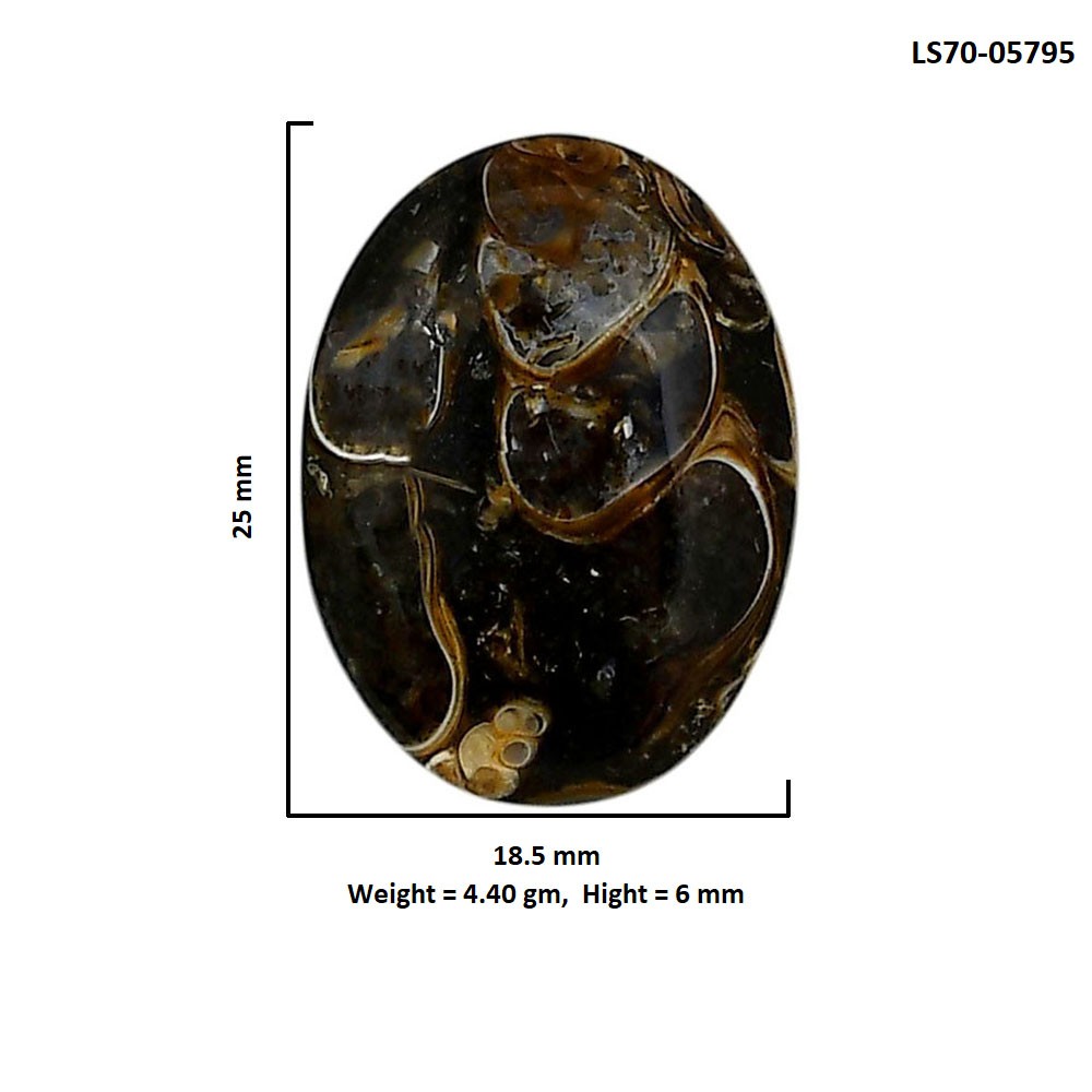 Natural Turtella Jasper 18.5x25x6 mm Oval Shape Polished Gemstone LS70-05795