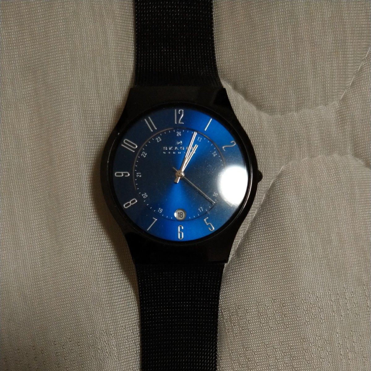 Skagen Watch
