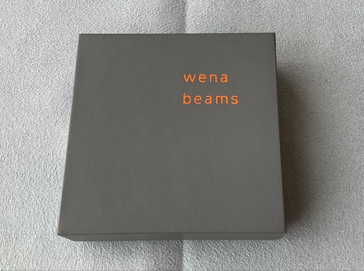 SONY Wena Wrist Three Hands Retro WNW-HT22-S Beams Edition Silver Watch Head