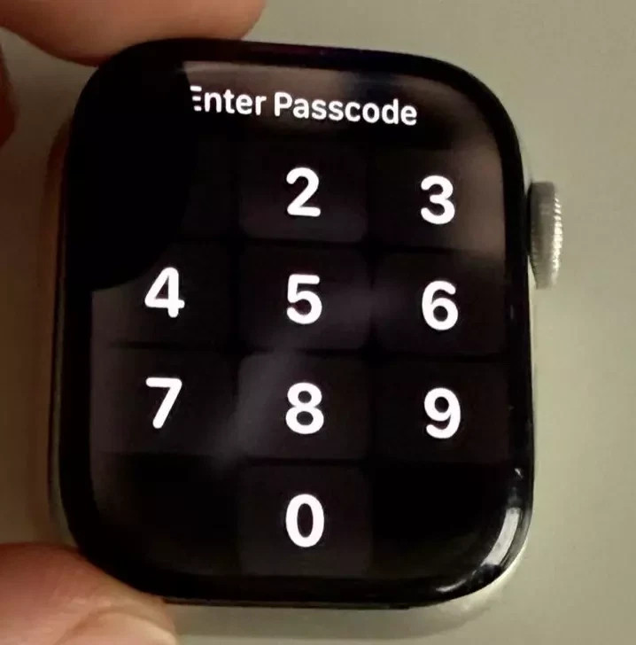 OLED Screen for Apple Watch Series 7 41mm GPS LTE (with Issue)