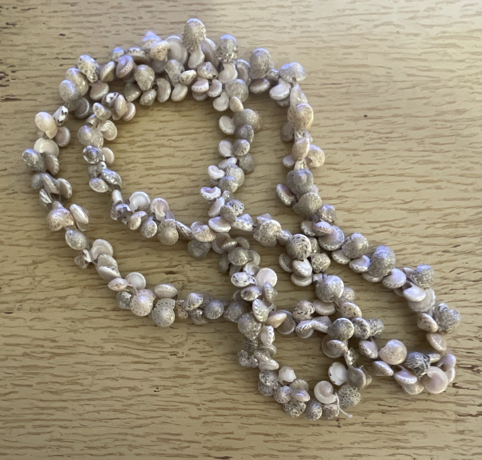 White Beige Natural Shell Beaded Strand Necklace No Clasp Beach/Ocean