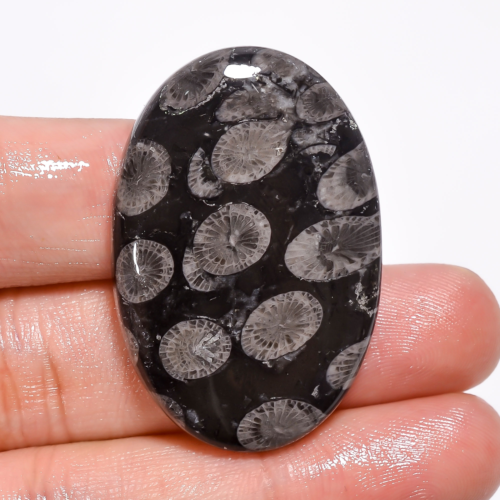 Natural Black Fossil Coral Oval Shape Cabochon Loose Gemstone 62 Ct. 40X27X6 mm