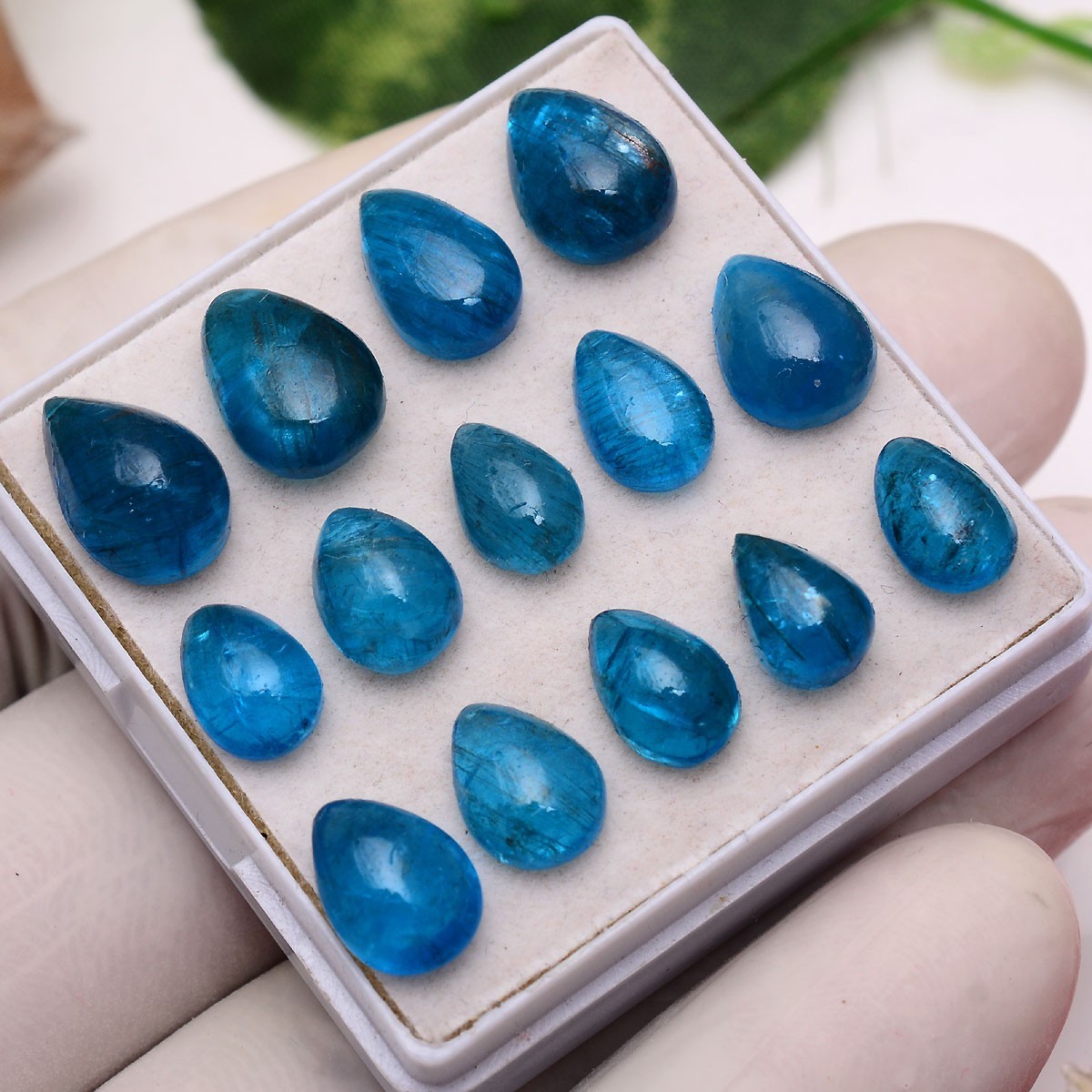 Set 14 Pcs Natural Apatite Untreated 8mm-12mm Pear Stunning Loose Gemstones Lot