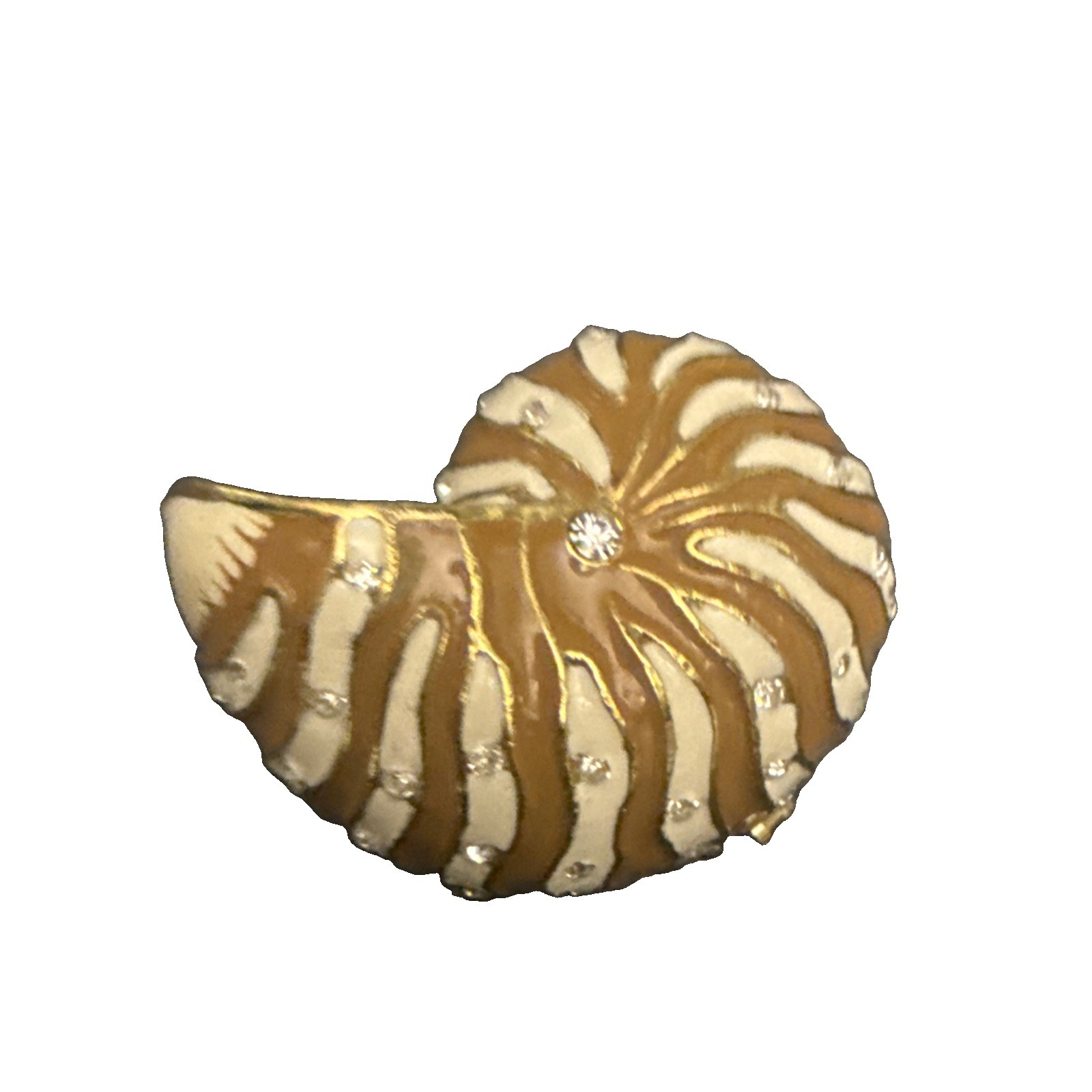 Beautiful Shell Jewelry Container