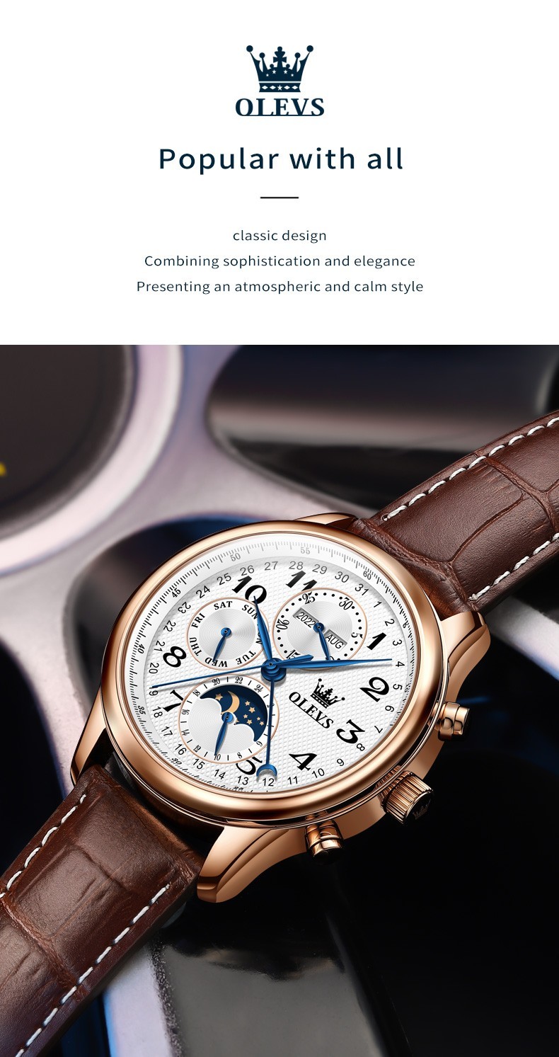OLEVS 6667 Stylish Multi-functiom Water Resistant Casual Formal Mechanical Watch