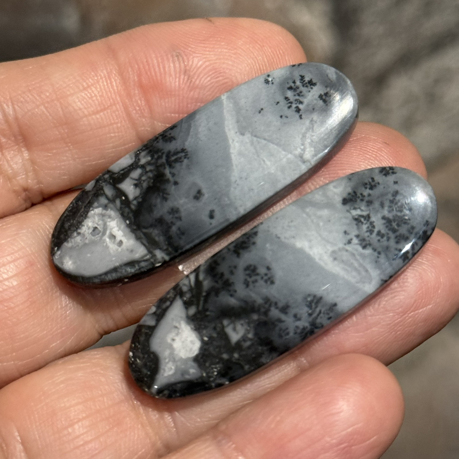 62ct 42x15x4.5mm Pair Fine Gray Scenic Oval Picture Maligano Jasper Cabochons