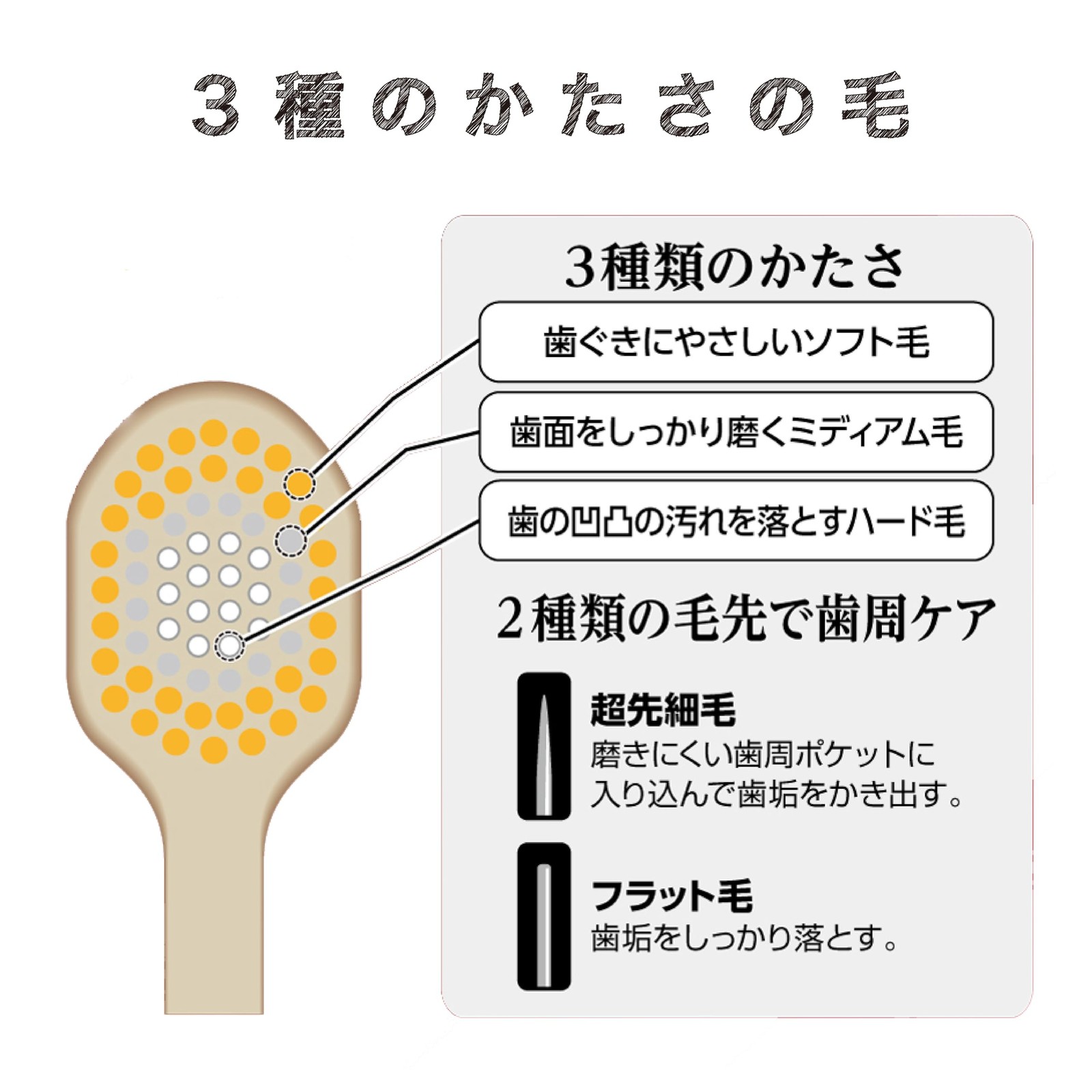 Ebisu The Premium Care Gap Plus (Regular) 2 Pieces Set