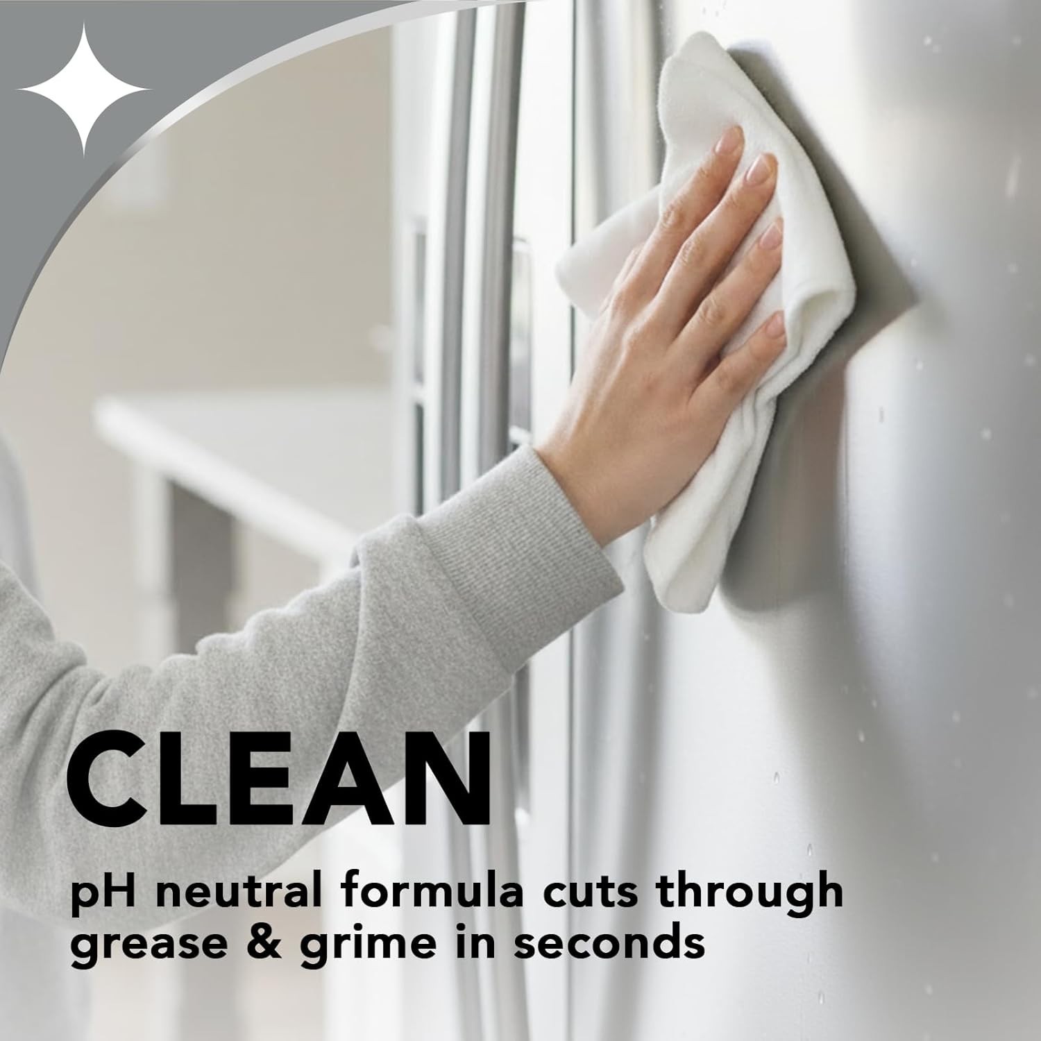 Stainless Steel Cleaner