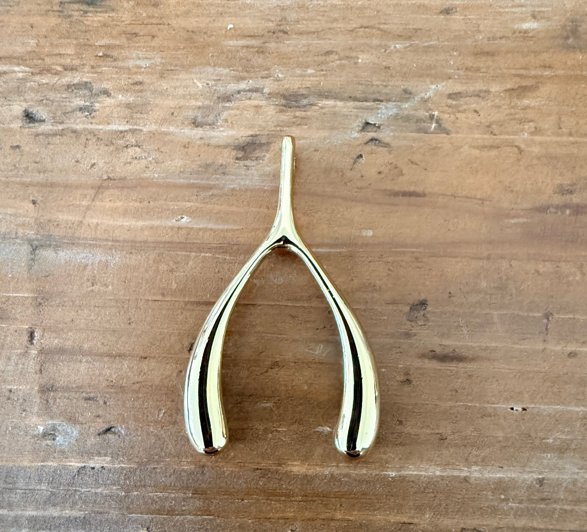 Jane Win Gold Tone LUCKY JW Large Wishbone Pendant Necklace NO CHAIN