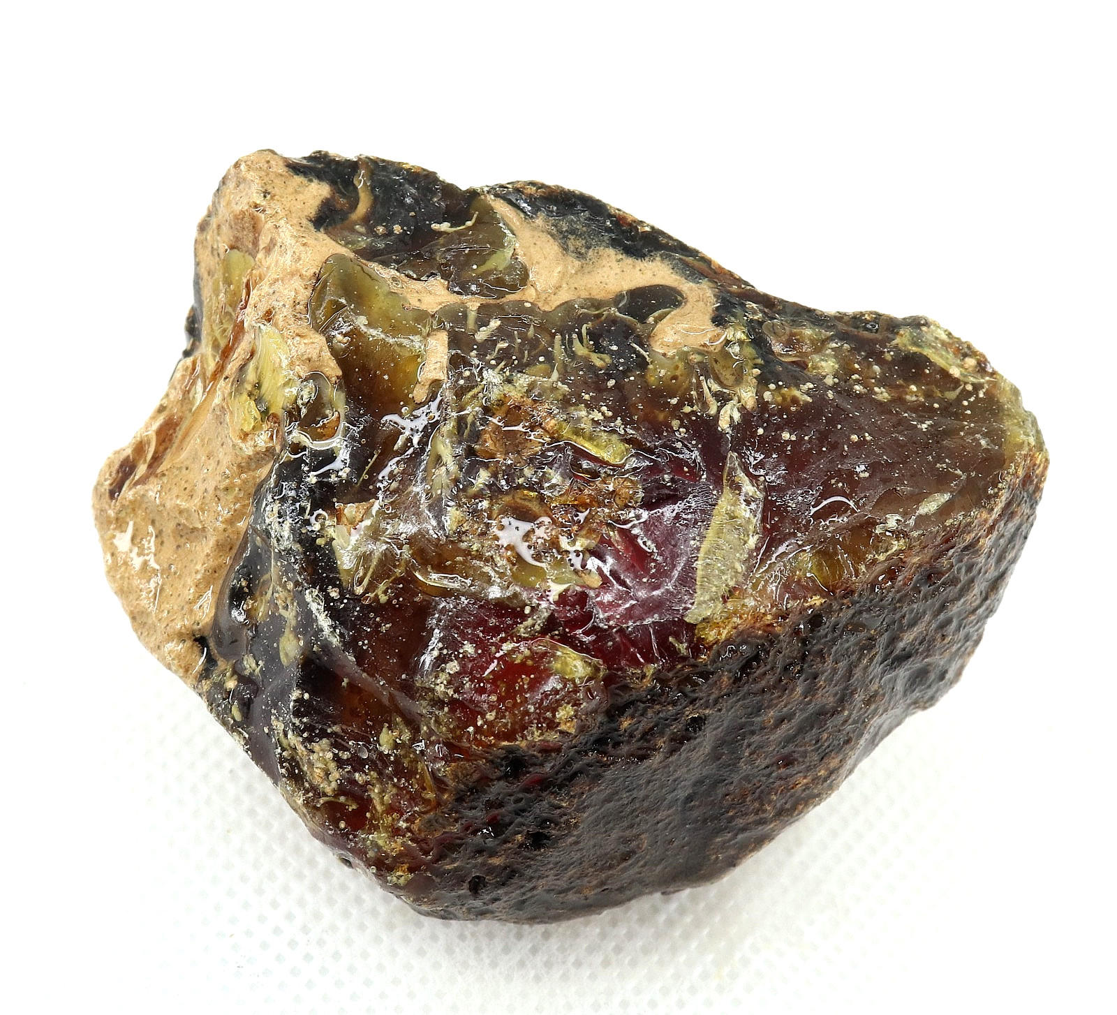 Natural Honey Baltic Amber Untreated Specimen Certified Rough Gemstone 233 Ct.