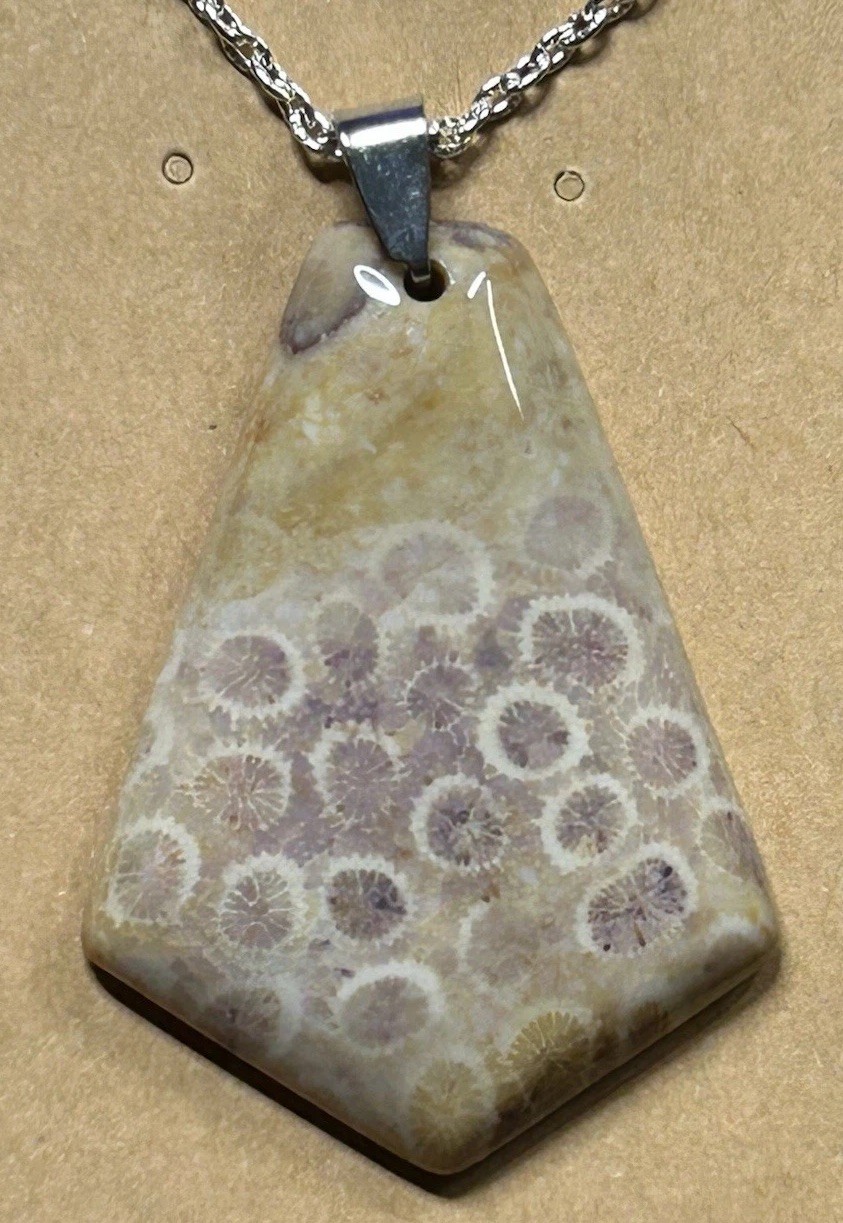 A002. natural chrysanthemum coral fossil jasper bead pendant Necklace