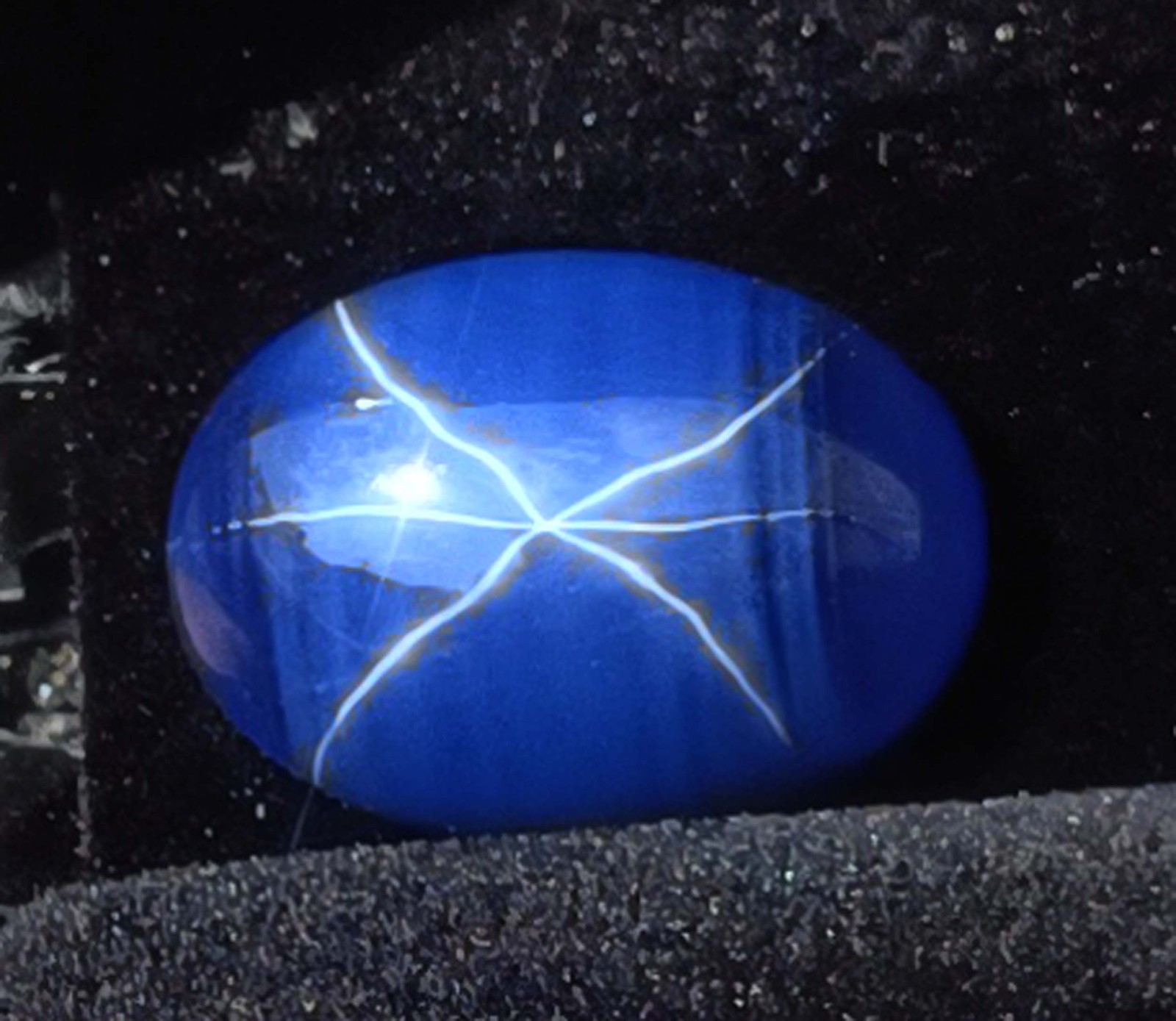 12.00 Ct Natural Star Sapphire 16x12mm Oval Shape IGL Gemstone (See Video) 5DNJ