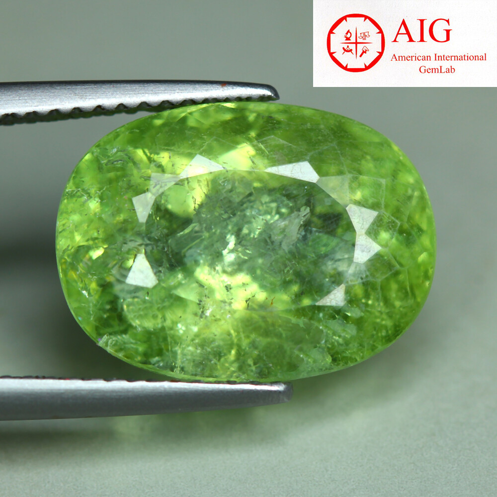9.05 Cts_AIG CERTIFIED_100 % Natural Copper Manganese Bearing PARAIBA Tourmaline