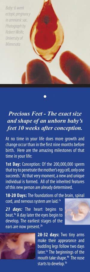 Precious Feet, White Fill/Nickel, Fetal Bookmark Jewelry, Lapel Pin