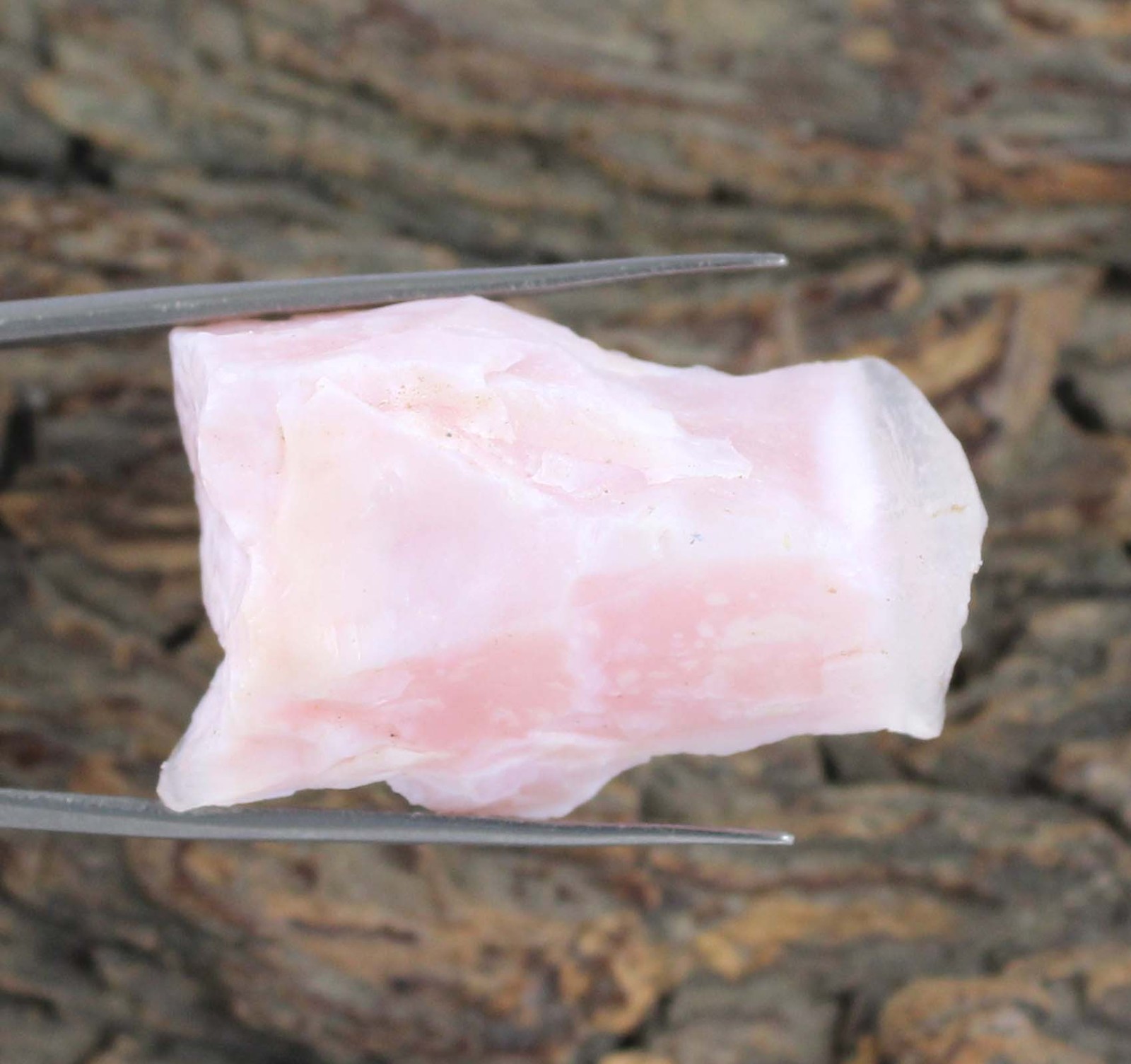 Peru Pink Opal 40.55 Ct Natural Gems Certified Rough T33110 Collection Specimen