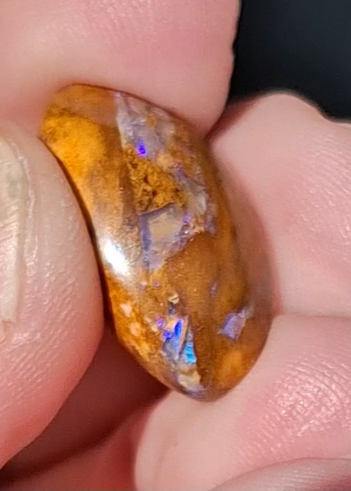 12.5ct Wood replacement Qld boulder opal. Vibrant iridescent blue & purple flash