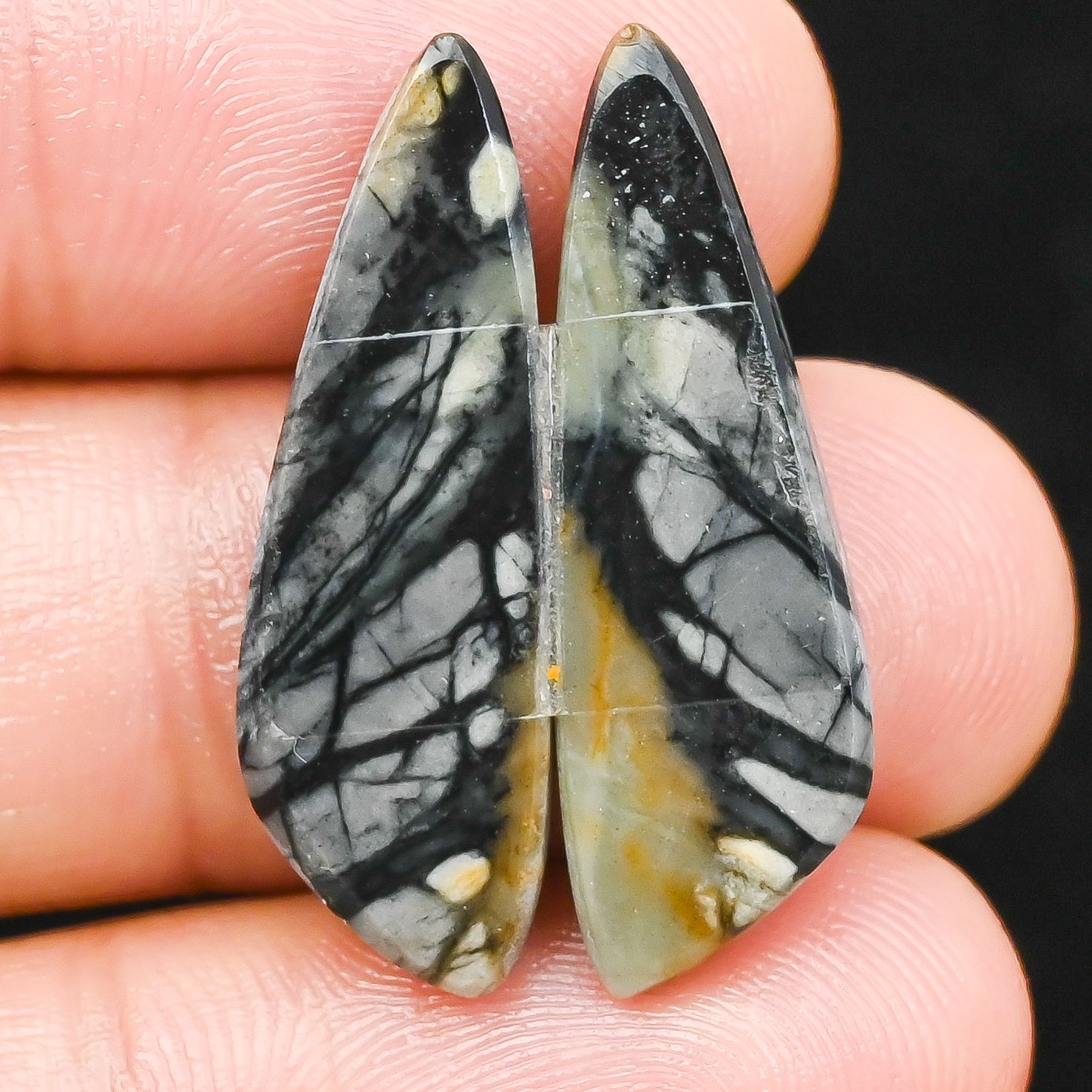 20.50Cts Natural Picasso Jasper Fancy Pair Cabochon Loose Gemstone 10x31x4mm