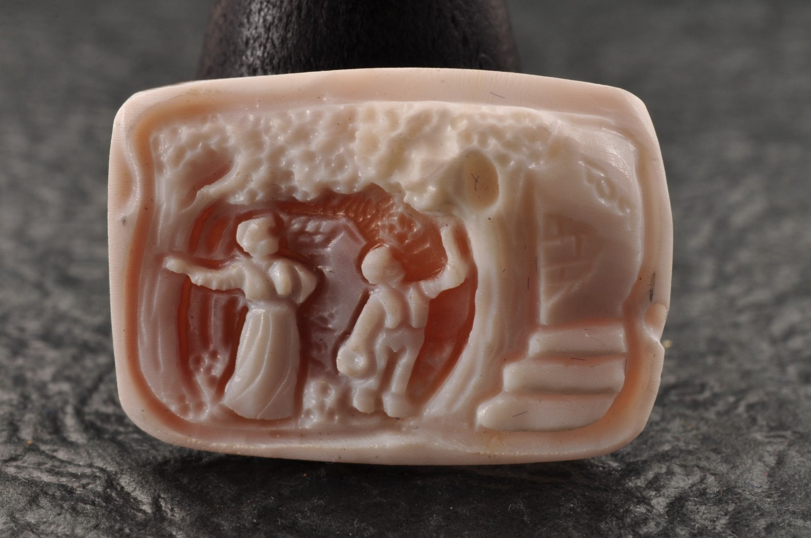 9 items , vintage shell cameo White and brown color (Total 188.5ct) with case.