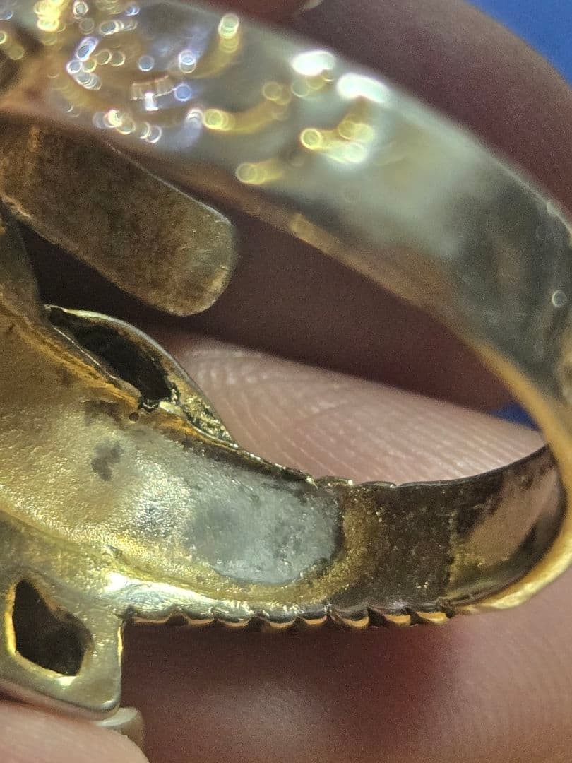 Dragon motif ring comes with a dragon case