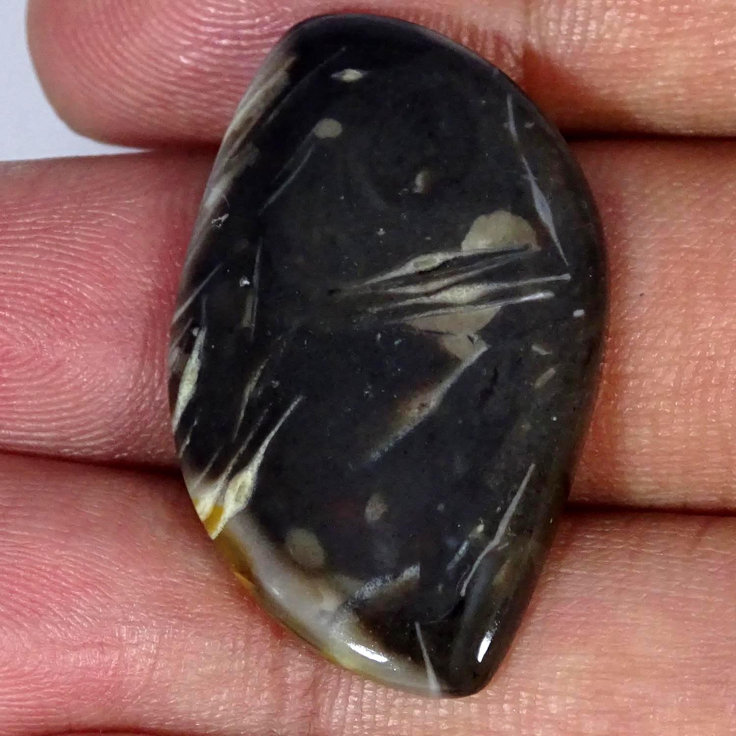 23.10Cts A+ Natural Feather Agate Fancy Cabochon Gemstone 21X35X4MM