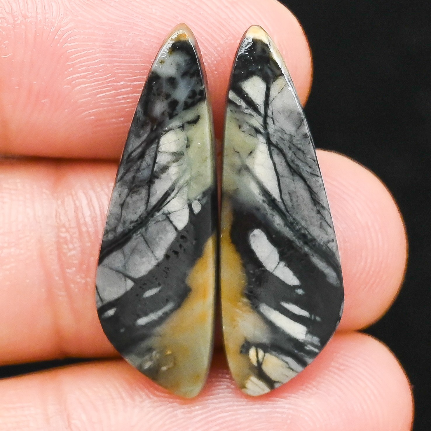 20.50Cts Natural Picasso Jasper Fancy Pair Cabochon Loose Gemstone 10x31x4mm