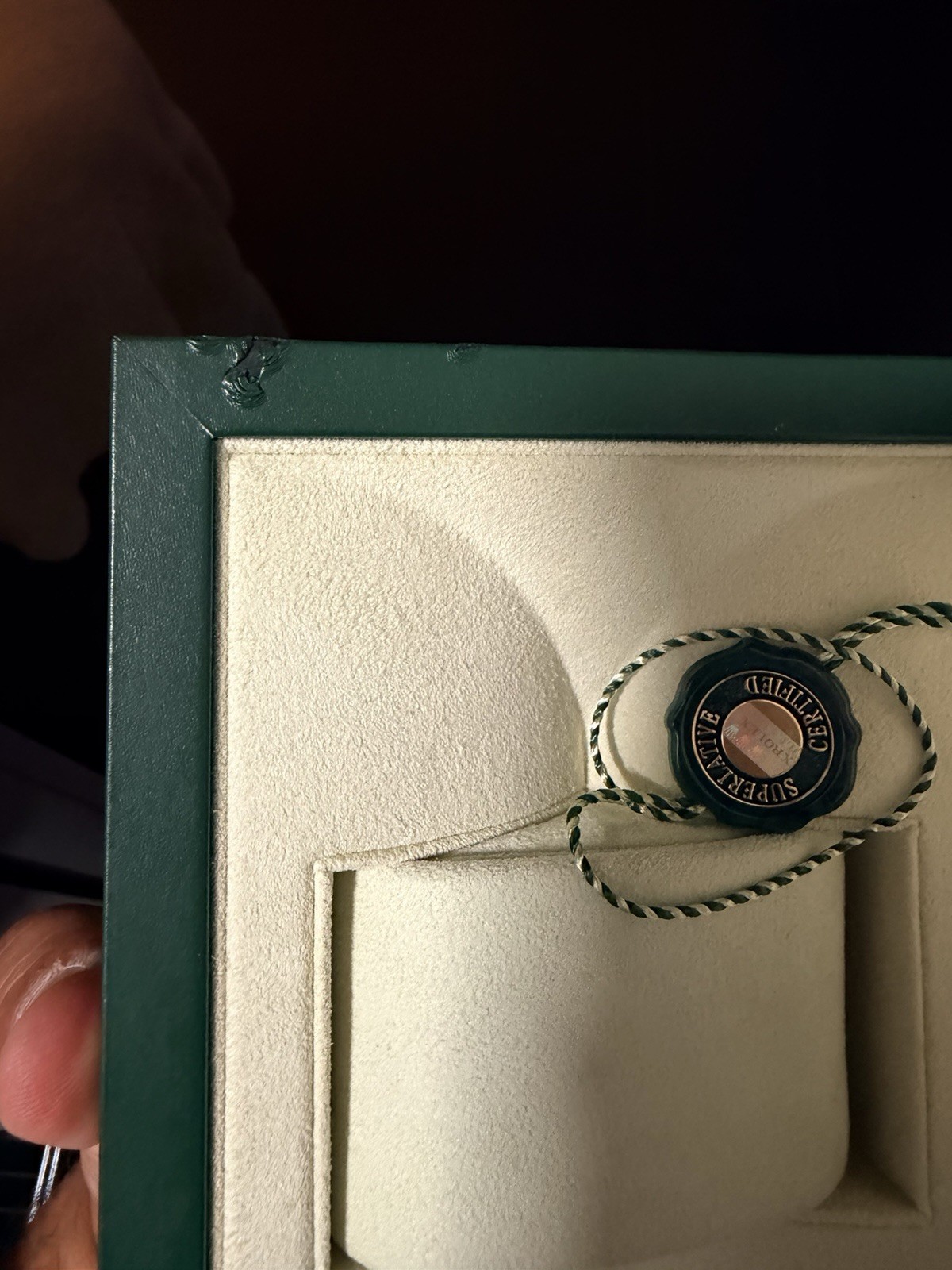 Rolex 31.00.04 Wristwatch Storage Box (Green)