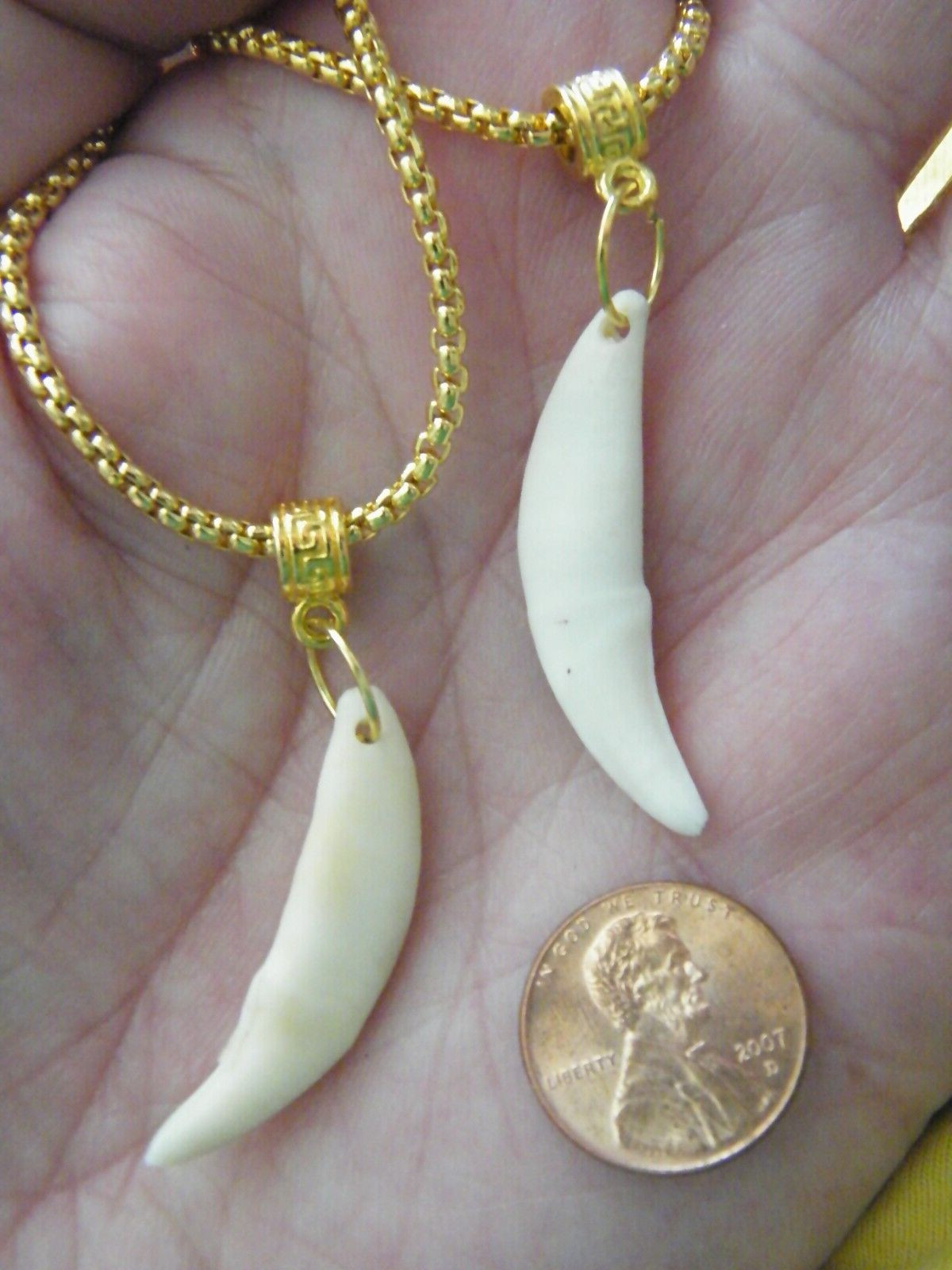COYOTE Tooth Necklace 1 1/2″ White REAL Teeth 18kt Gold Plate Box 25″ Chain NEW!
