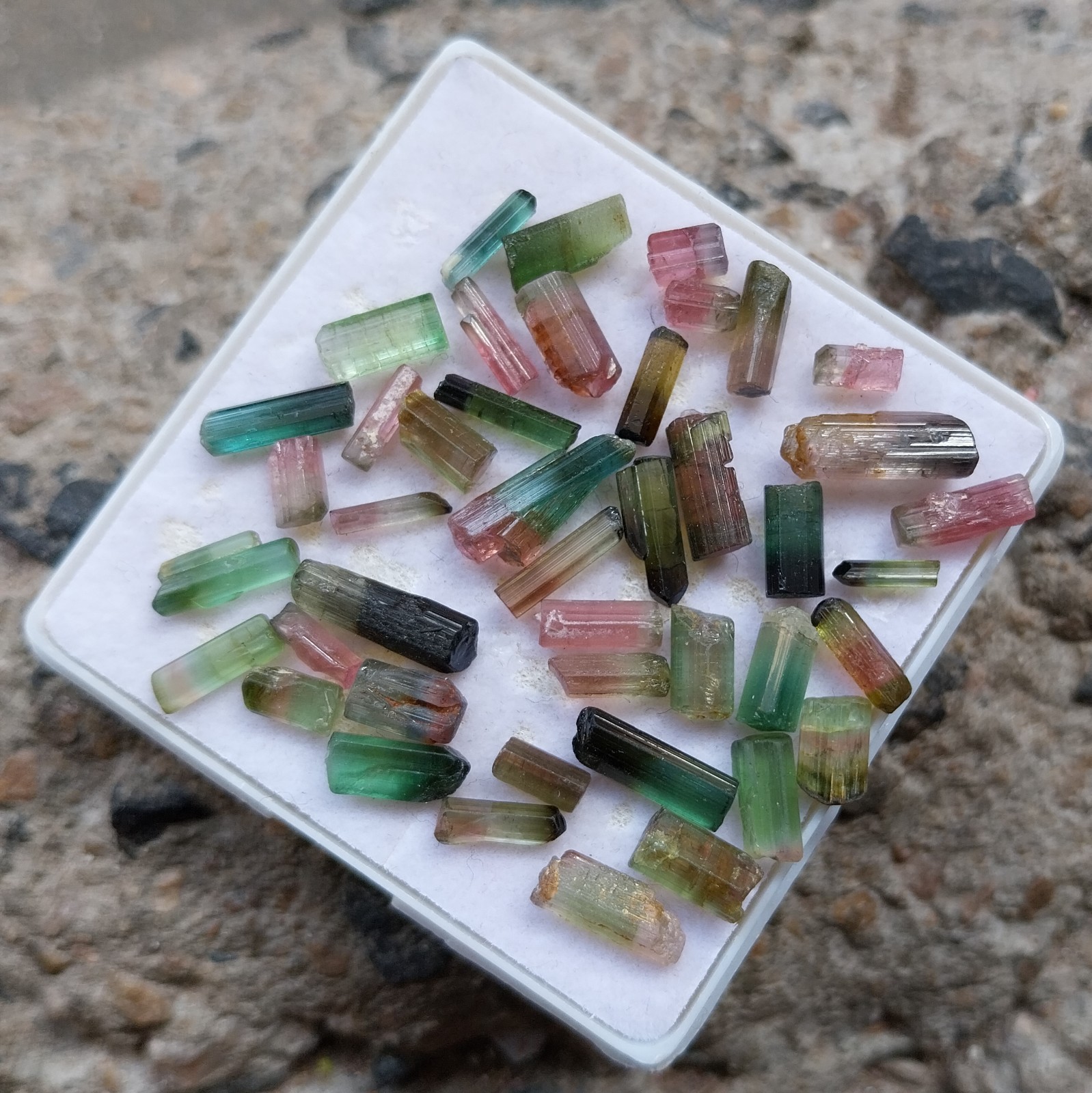31.8 Ct 5 to 12.5 MM Natural Watermelon Bi Color Tourmaline Stick 43 Piece Lot