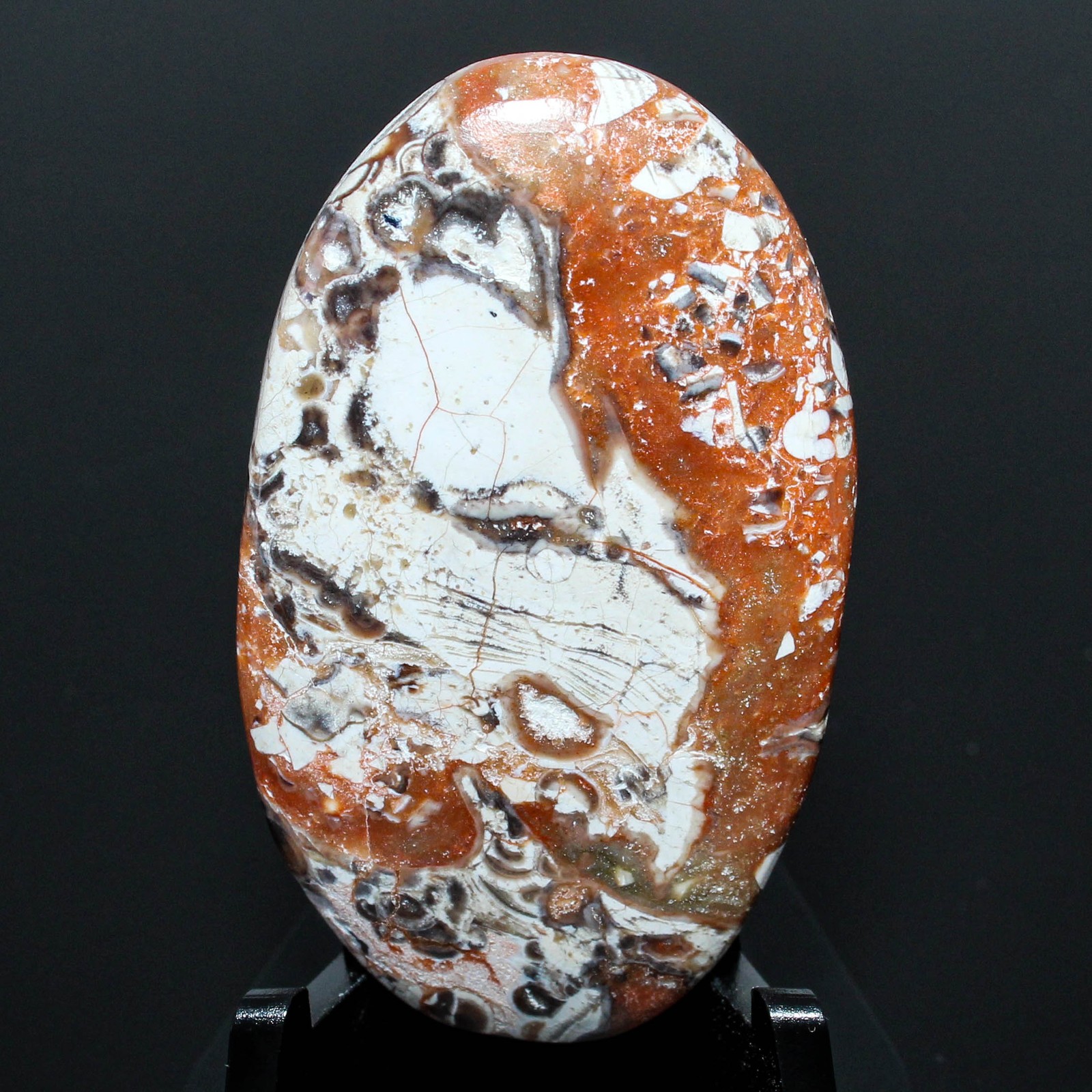 43.10 Ct. Rare Mushroom Jasper Oval Cabochon Loose Gemstone 40x24x5 mm