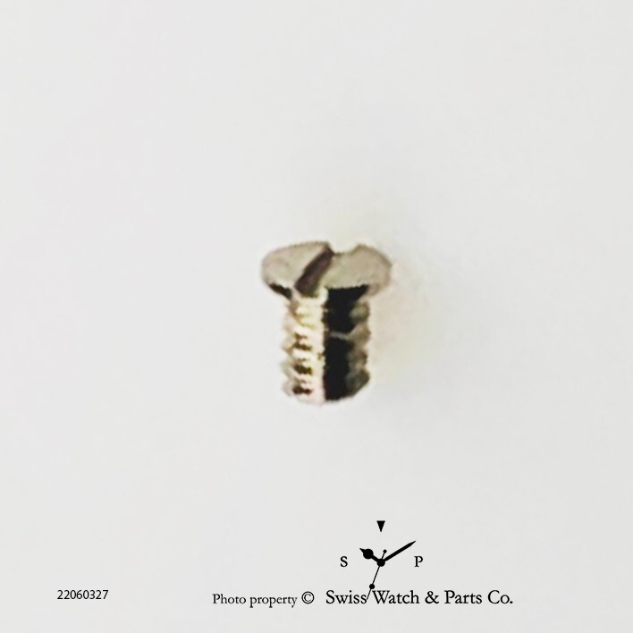 Genuine Cartier 76 ,Eta 2671- 5462 Screw for Minute Train Bridge Watch Parts