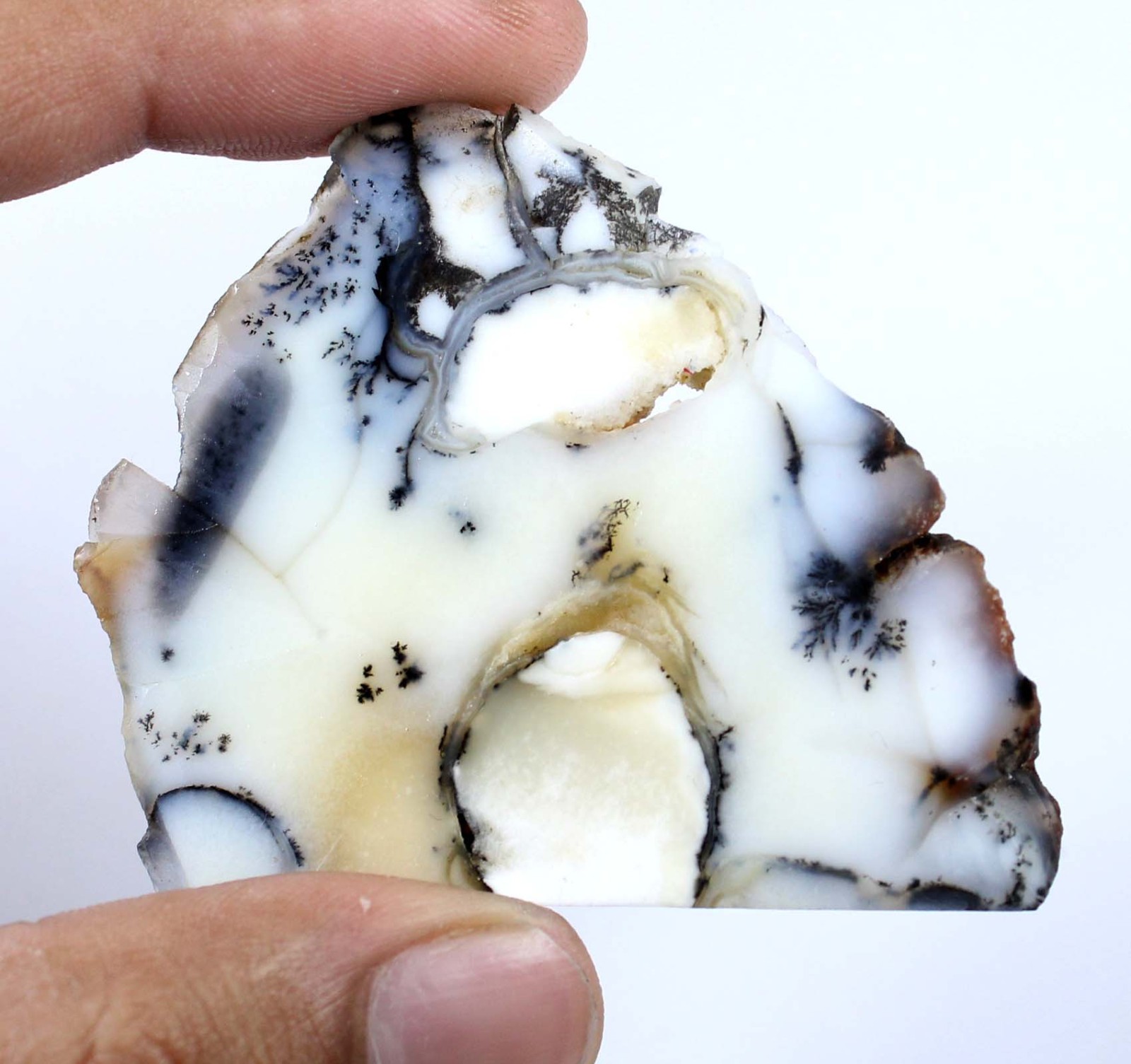 Father’s Day Offers Natural Dendrite Opal 128.50 Ct/52 mm Gemstone Slab Rough