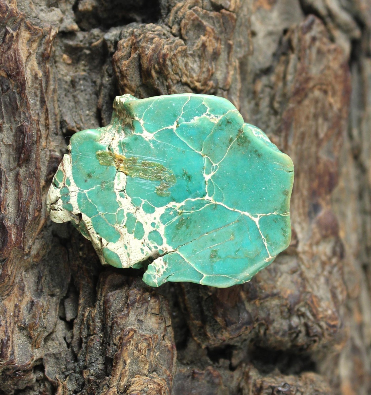 Blue Ridge Turquoise 46.35 Ct Natural Sleeping Beauty Gemstone Slab Rough T40587