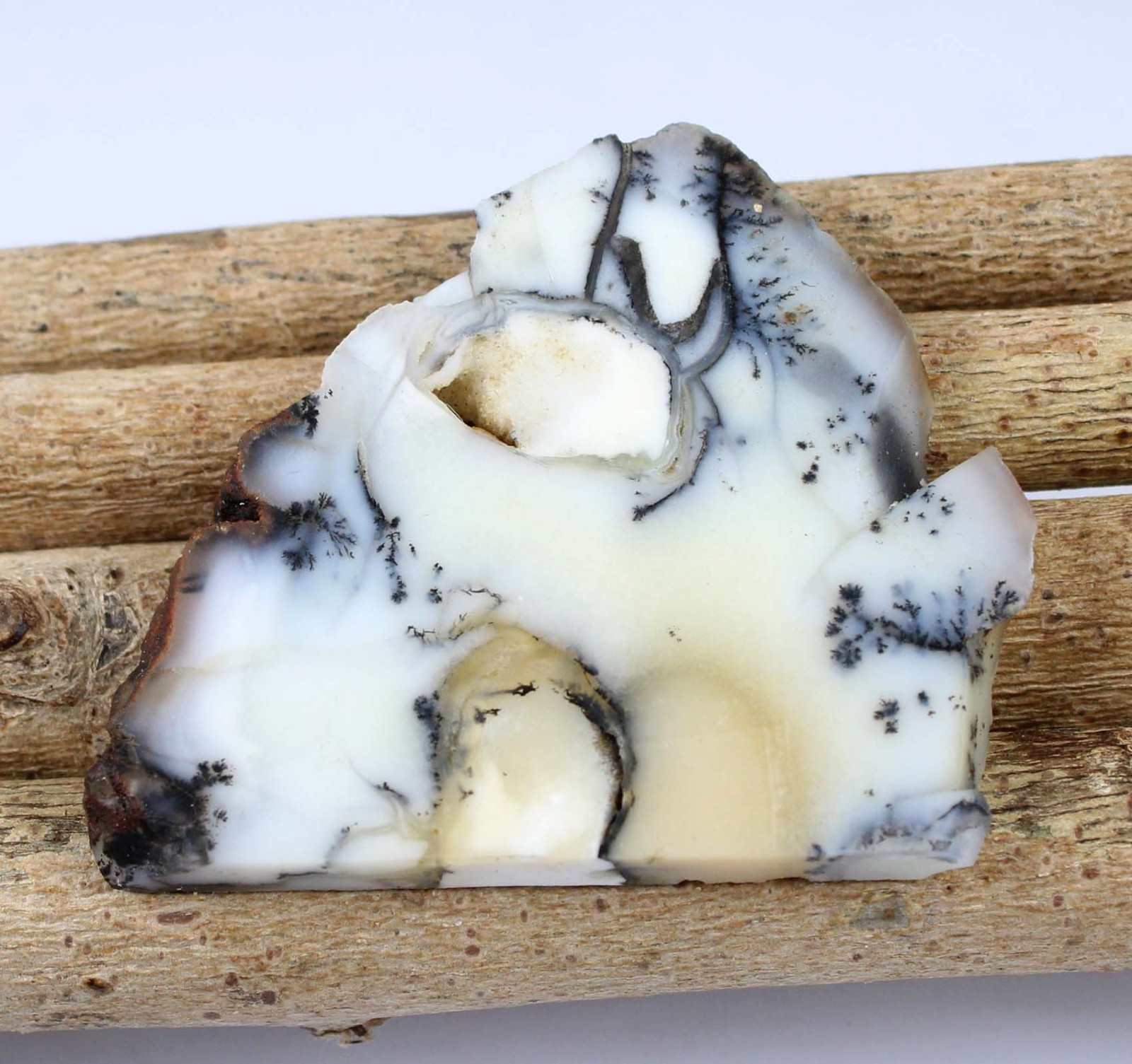 Father’s Day Offers Natural Dendrite Opal 128.50 Ct/52 mm Gemstone Slab Rough